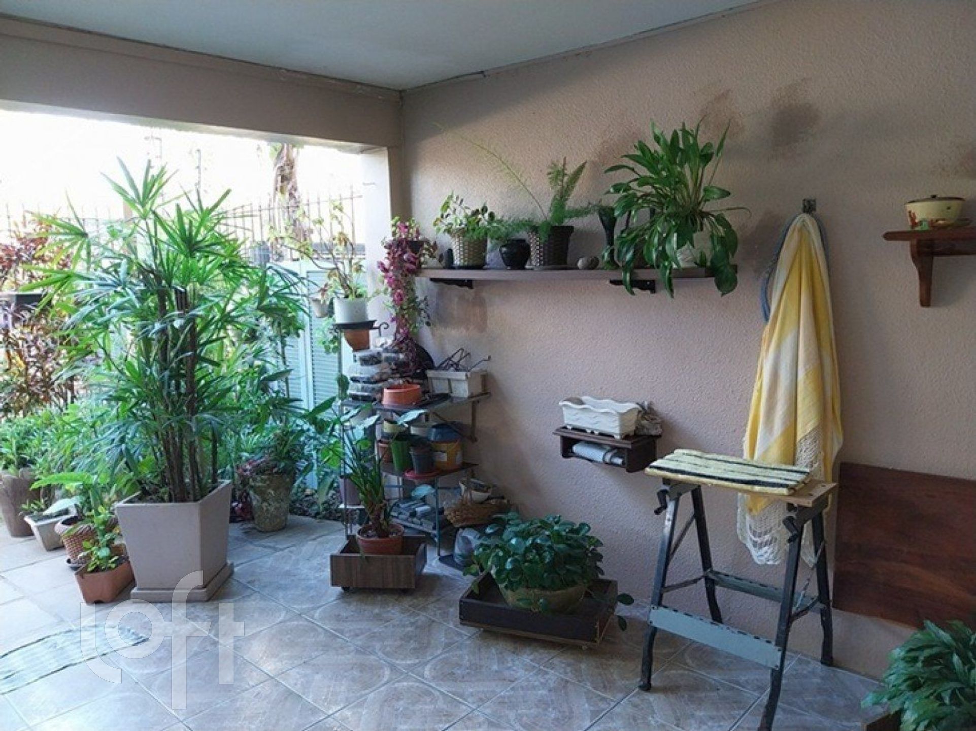 Imagem da propriedade 4