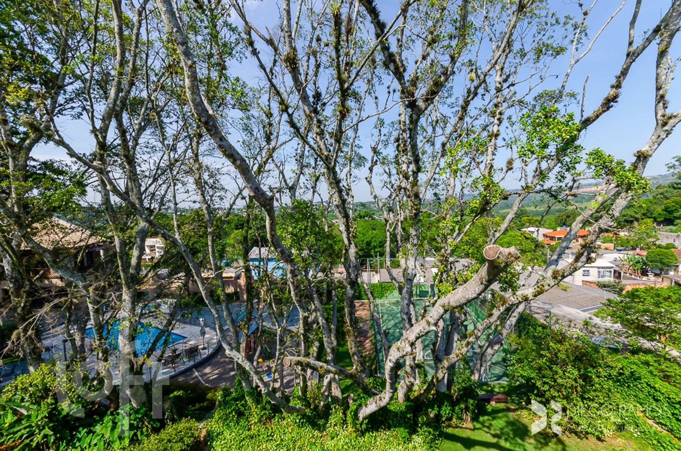 Imagem da propriedade 8