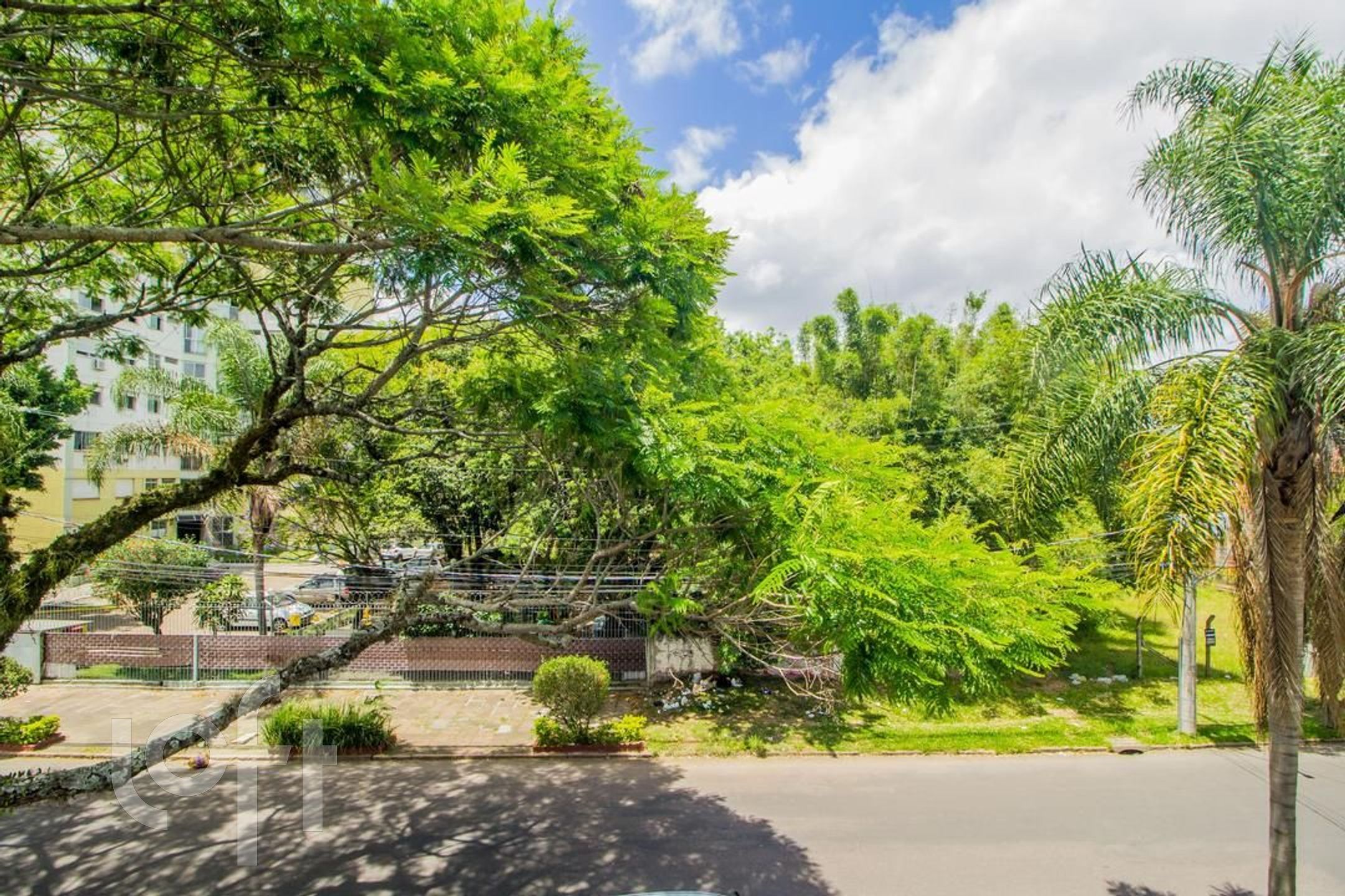 Imagem da propriedade 10