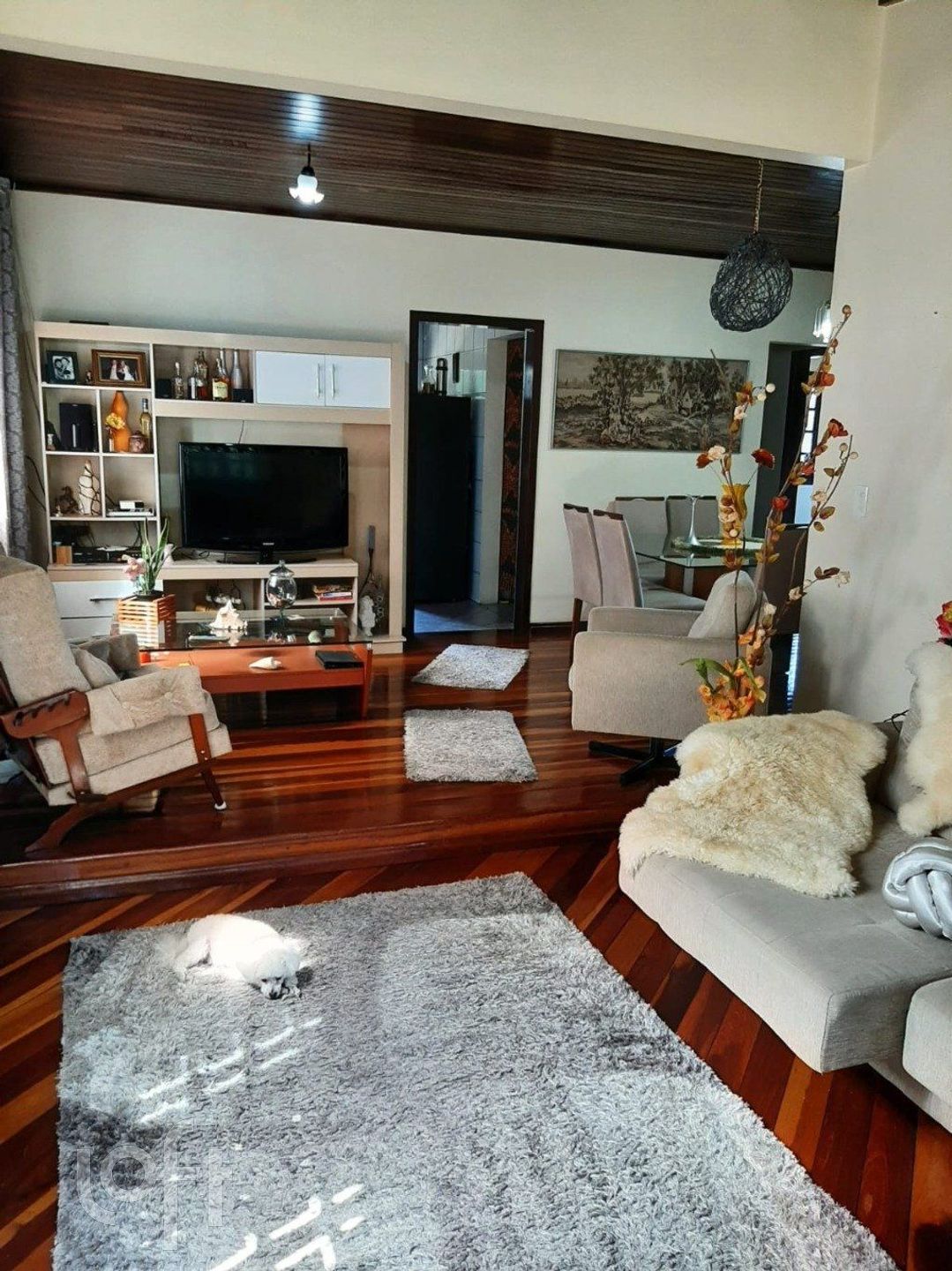 Imagem da propriedade 7