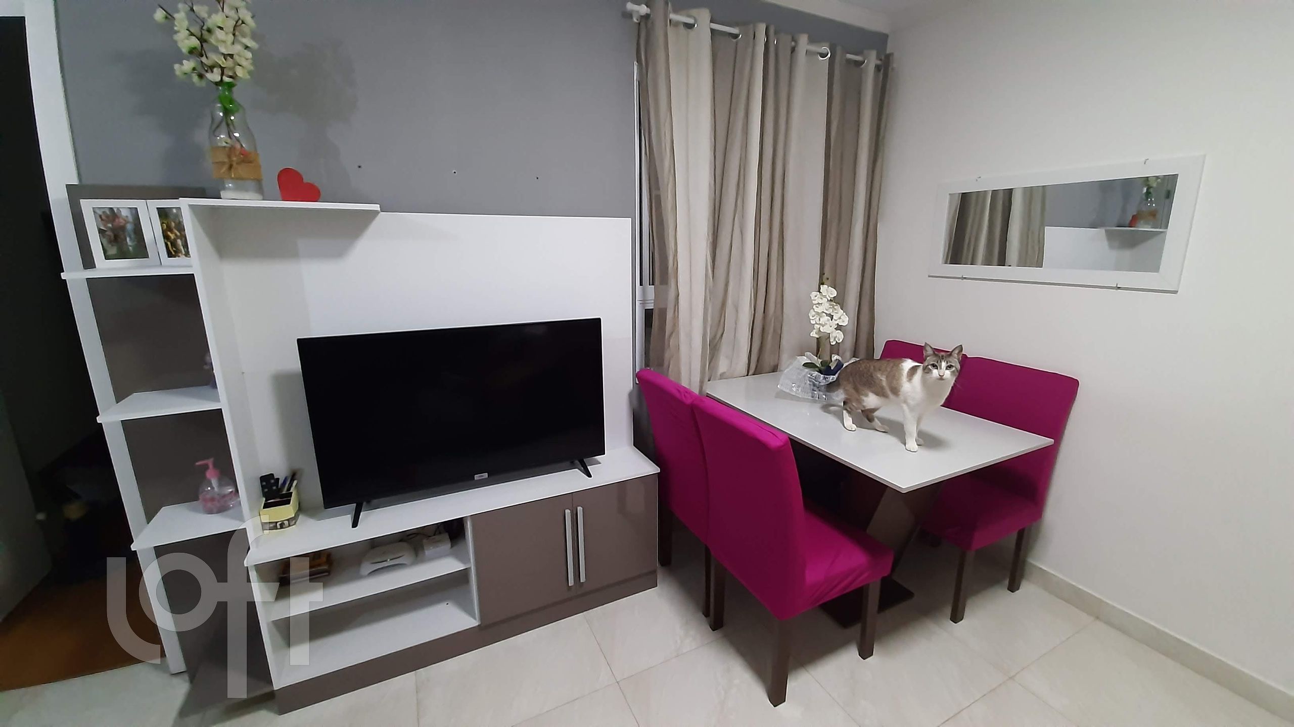 Apartamento à venda com 2 quartos, 47m² - Foto 4