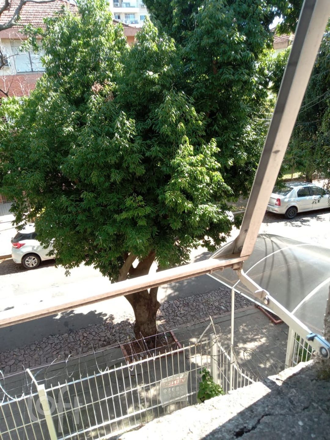 Imagem da propriedade 6