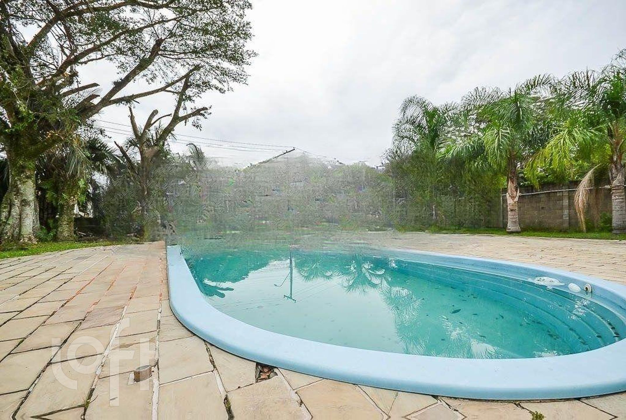 Imagem da propriedade 23