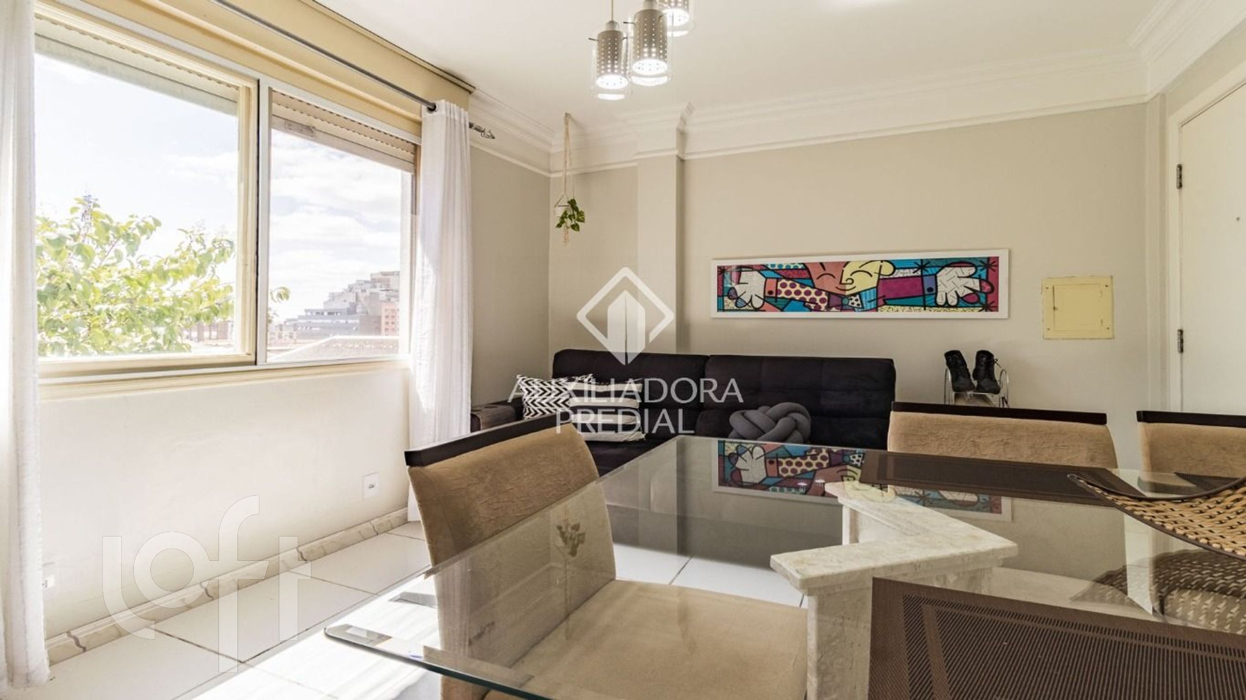 Imagem da propriedade 4