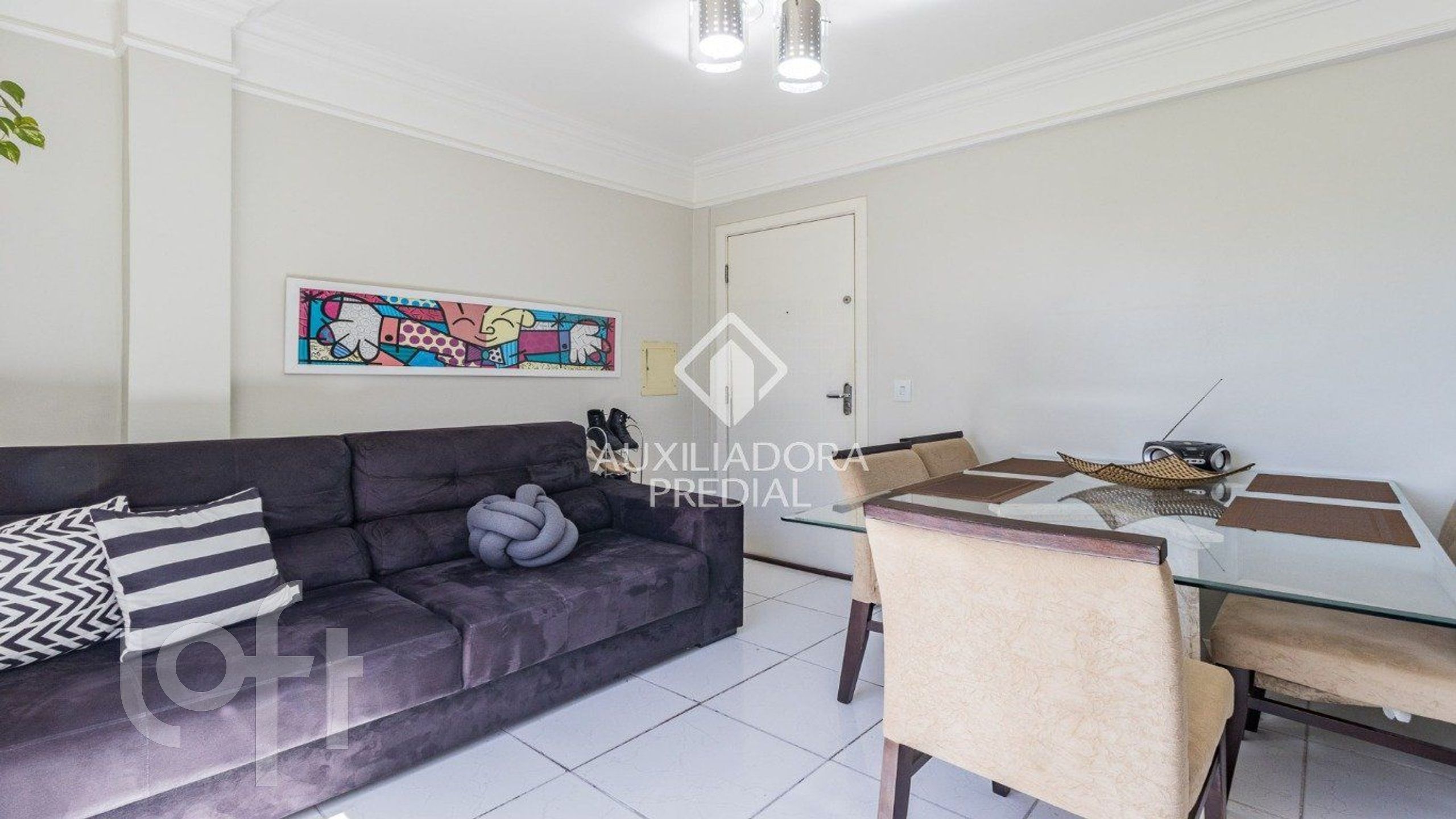 Imagem da propriedade 3