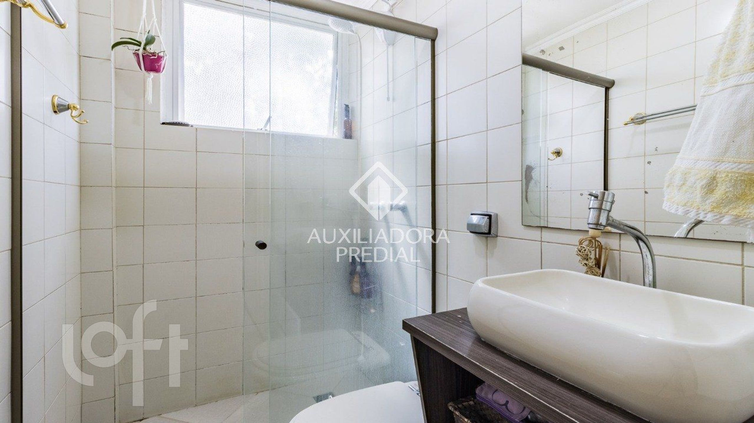 Imagem da propriedade 10