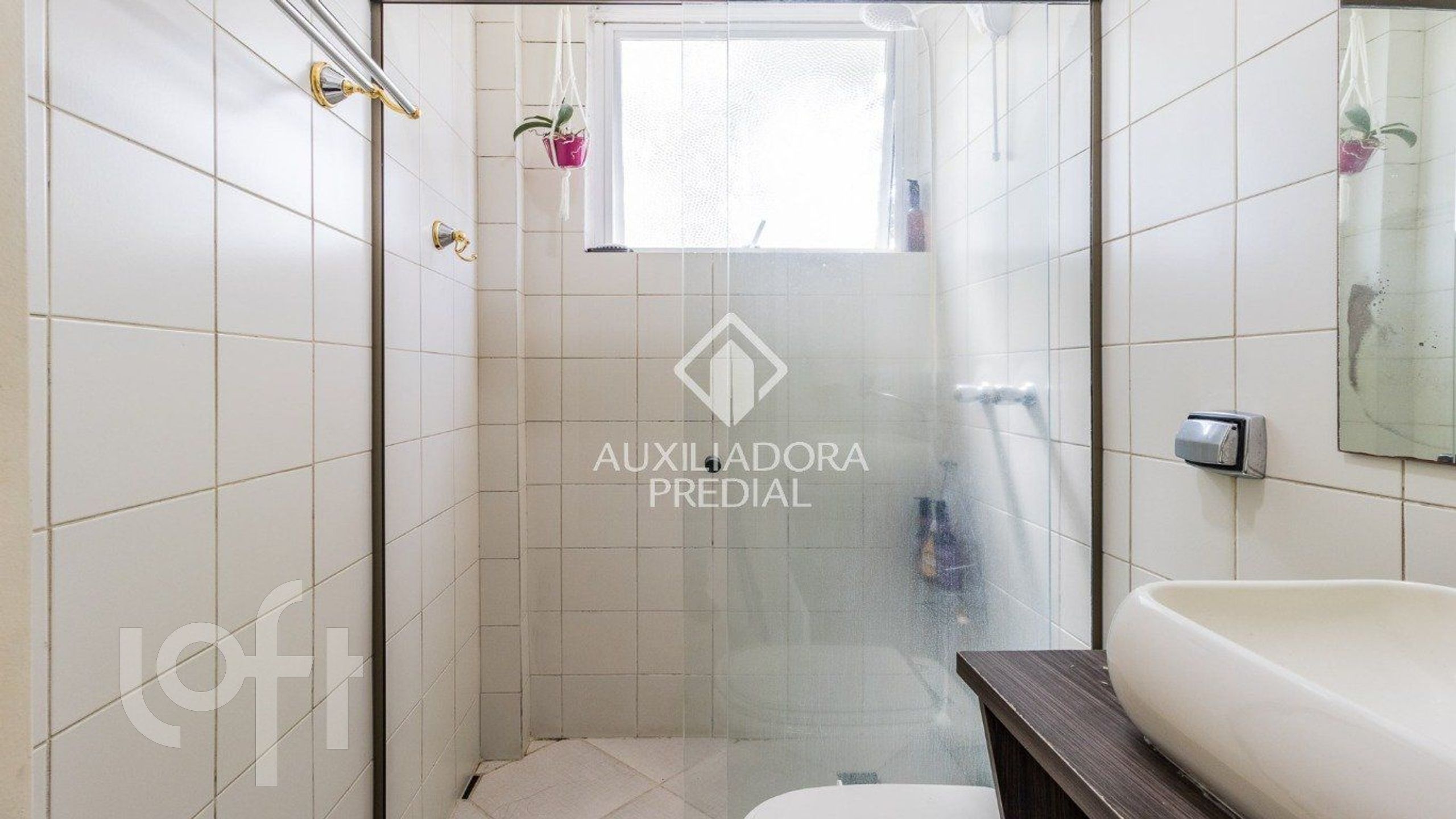 Imagem da propriedade 11