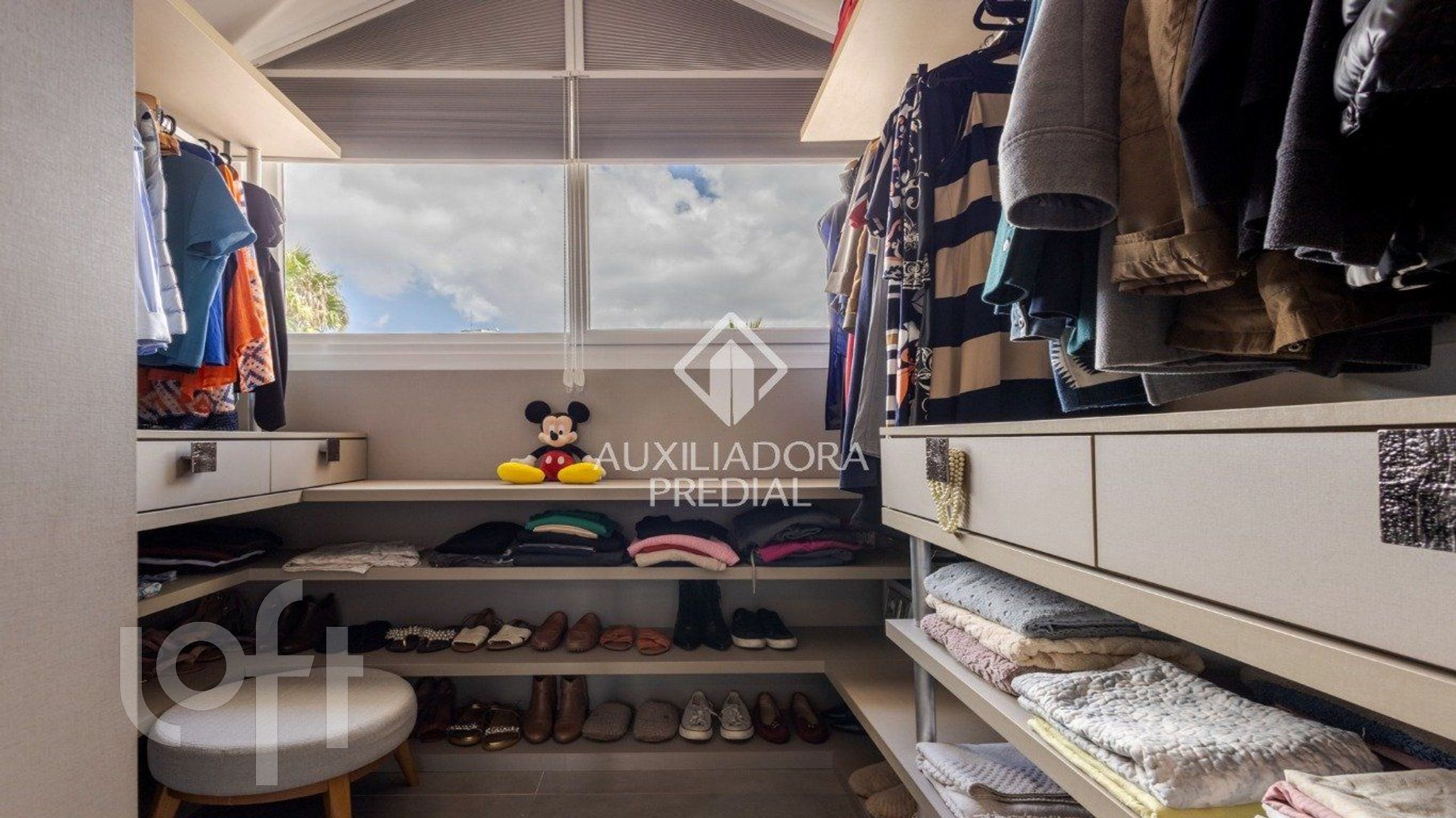 Imagem da propriedade 16