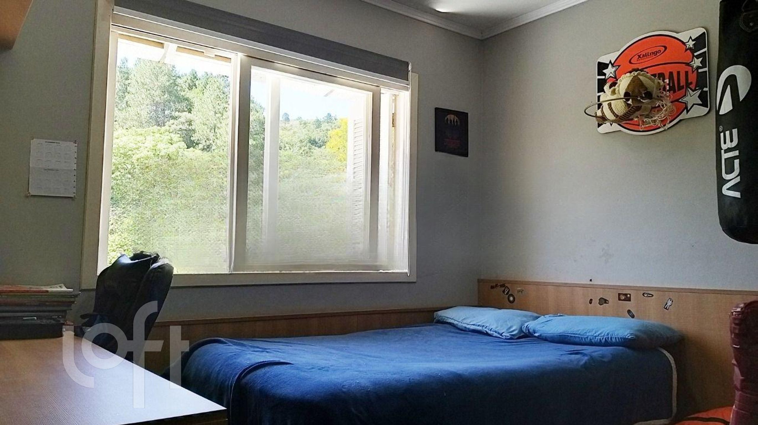 Imagem da propriedade 22