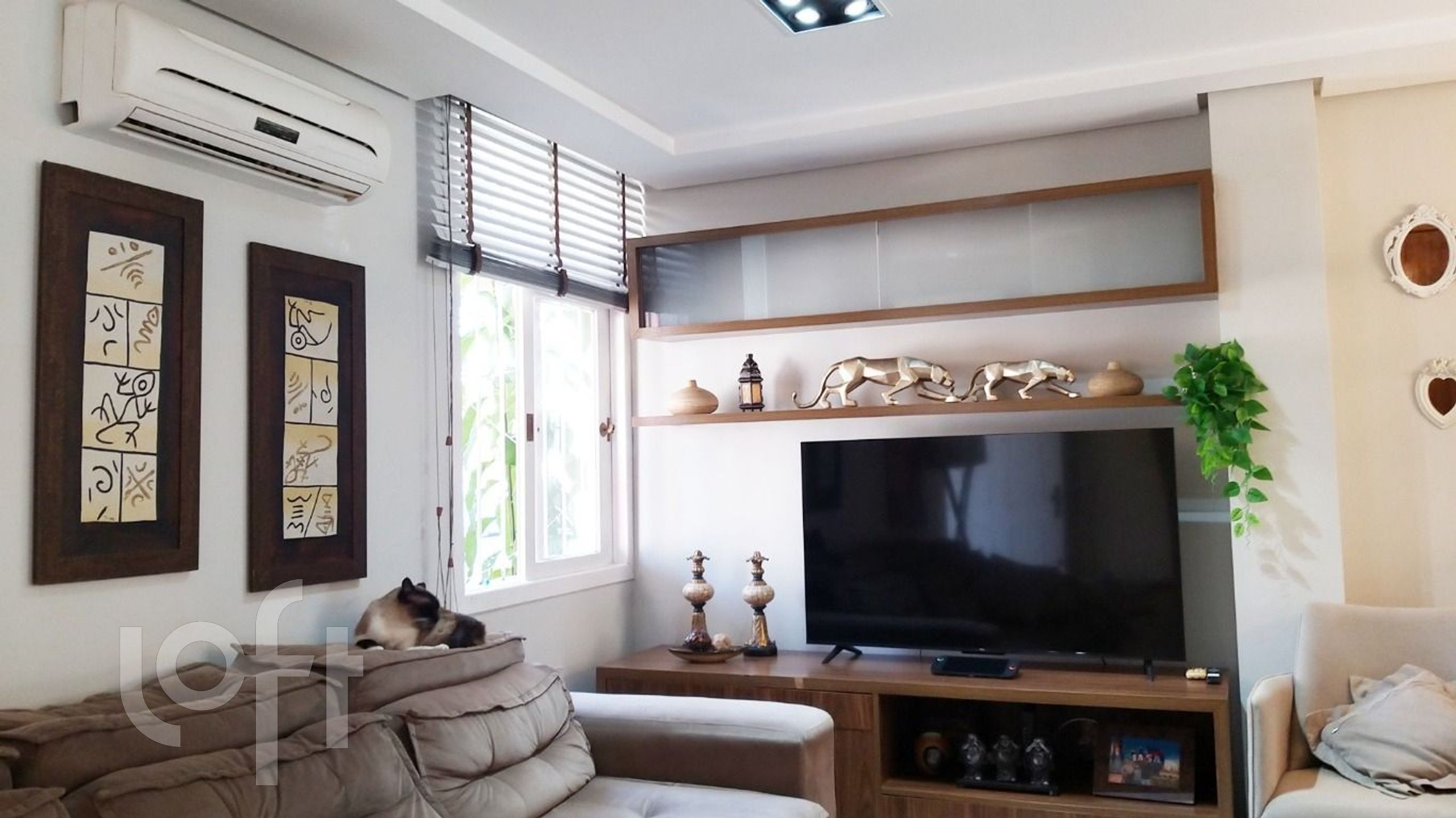 Imagem da propriedade 3