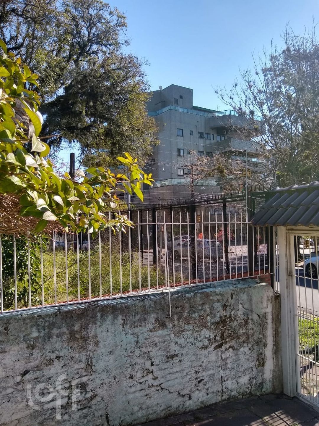 Imagem da propriedade 3