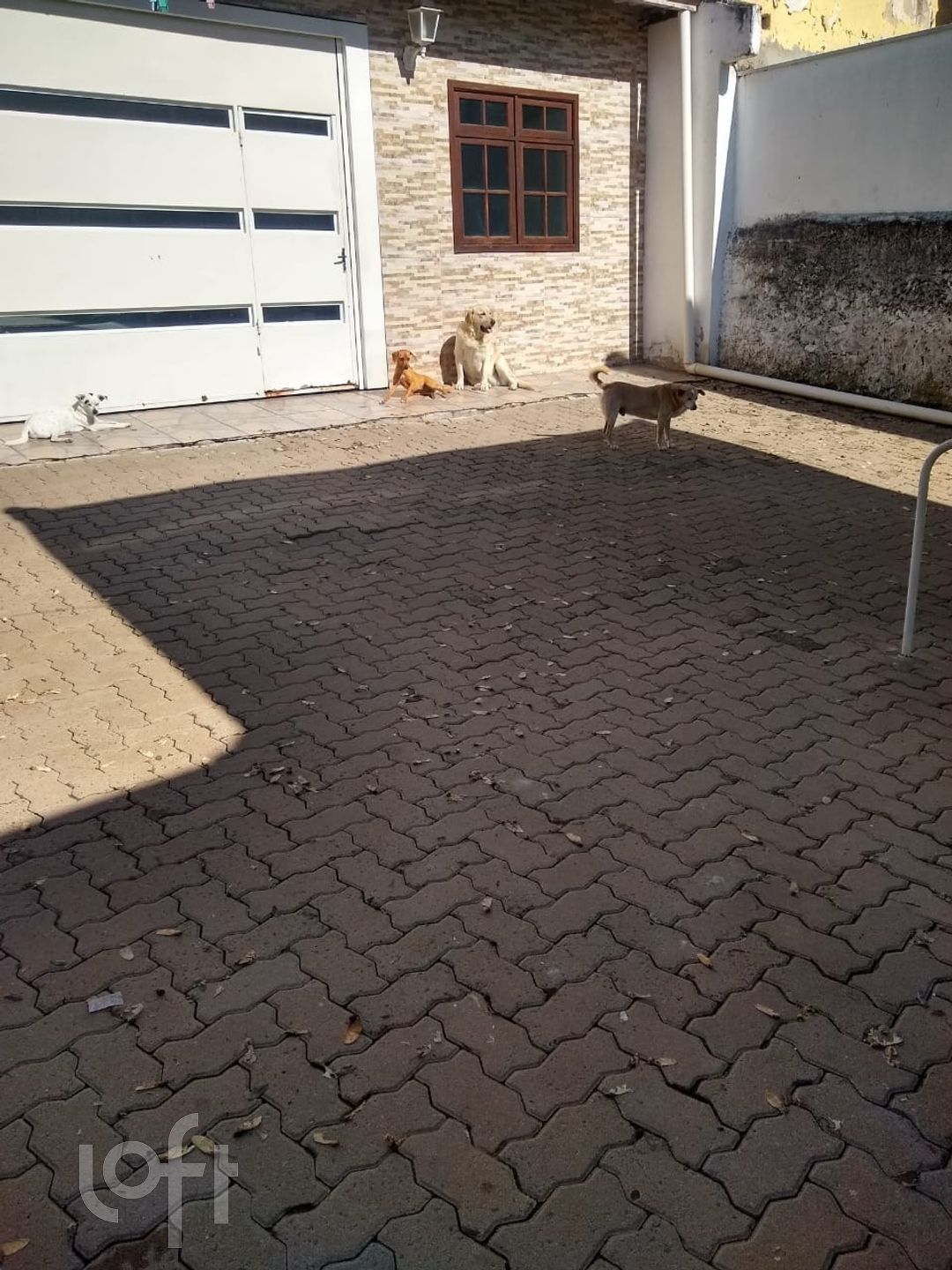 Imagem da propriedade 18