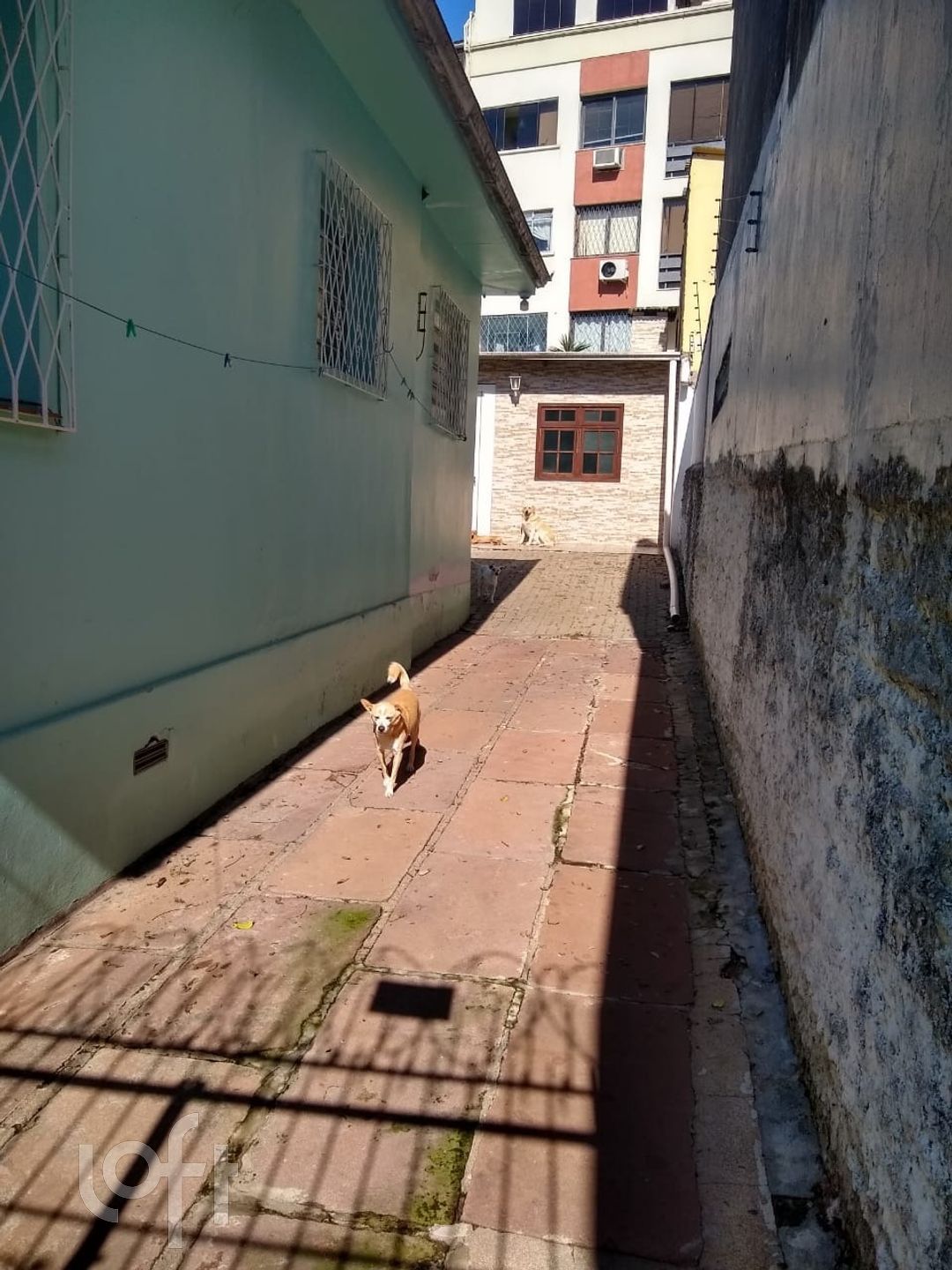 Imagem da propriedade 22