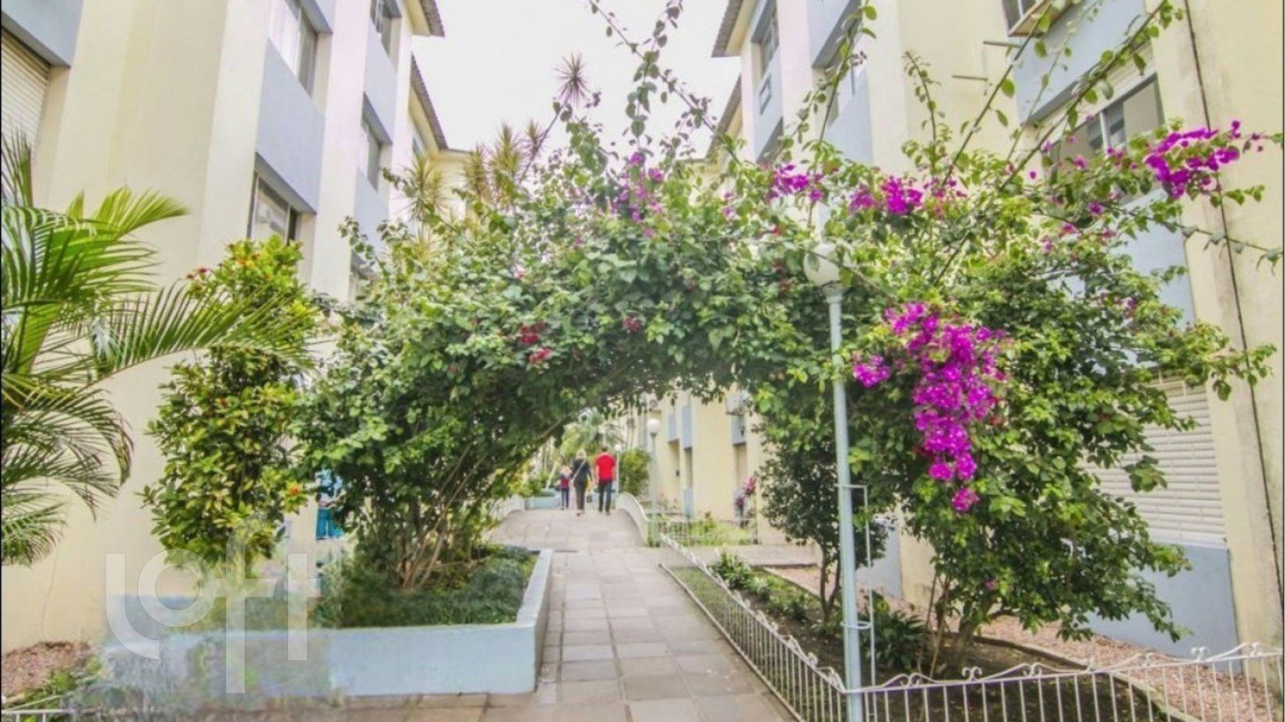 Imagem da propriedade 45