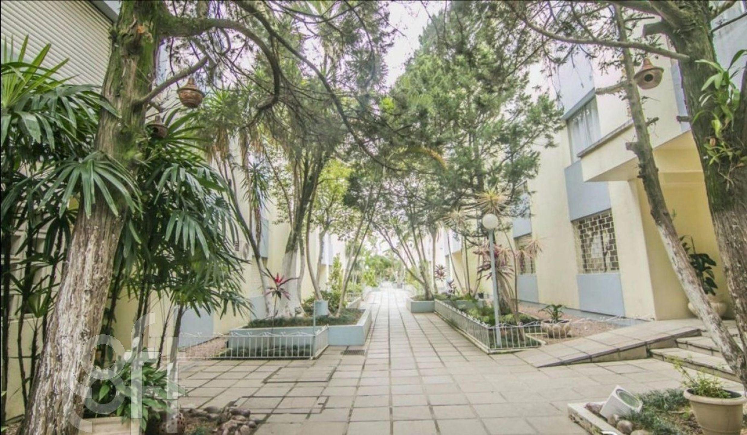 Imagem da propriedade 29