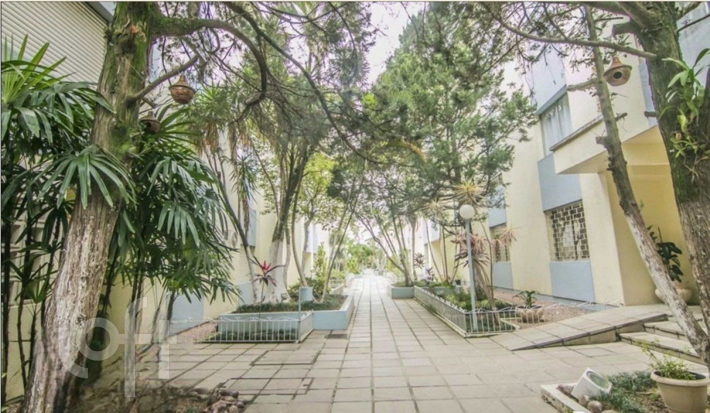 Imagem da propriedade 41