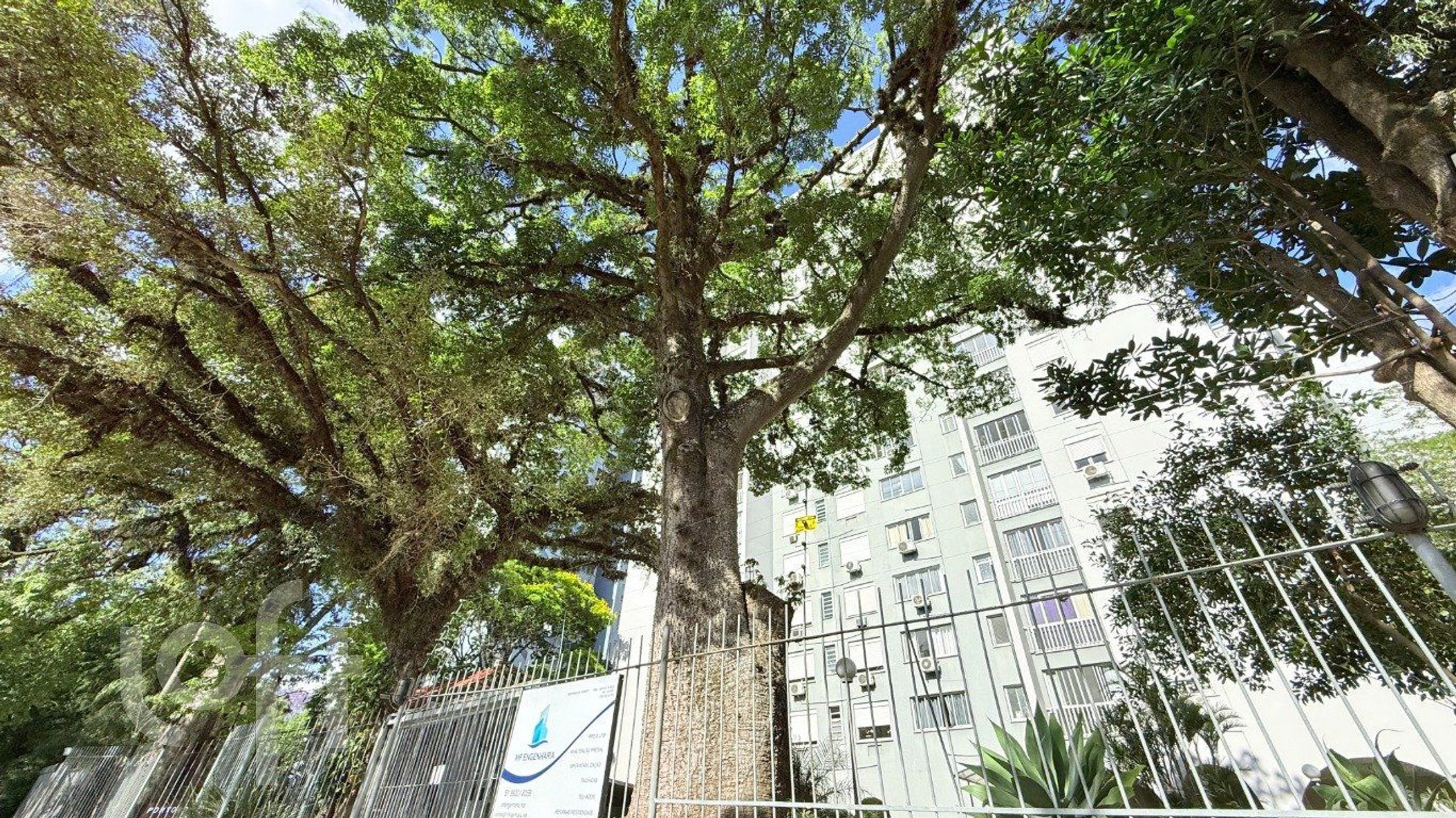 Imagem da propriedade 32