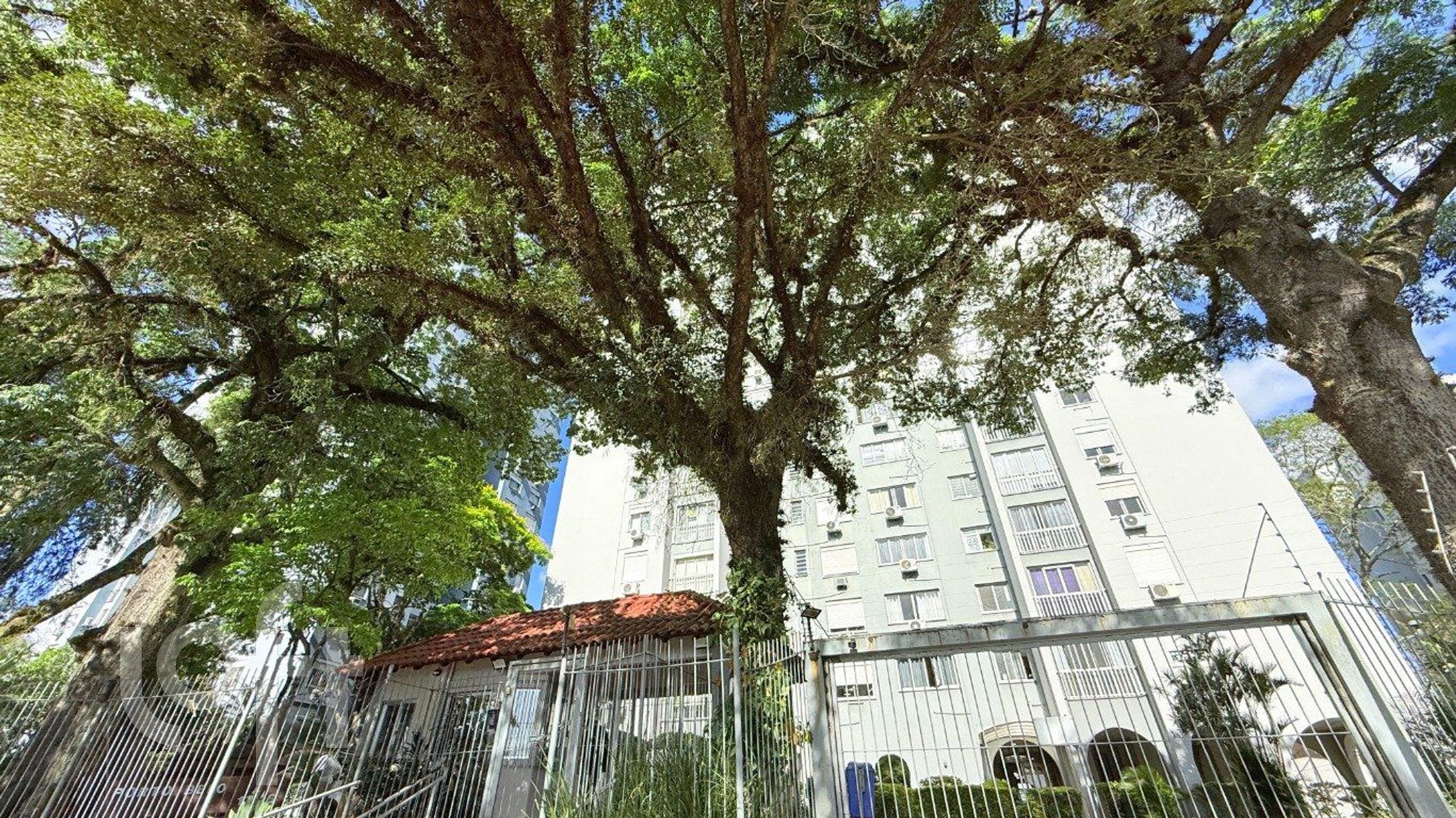 Imagem da propriedade 30