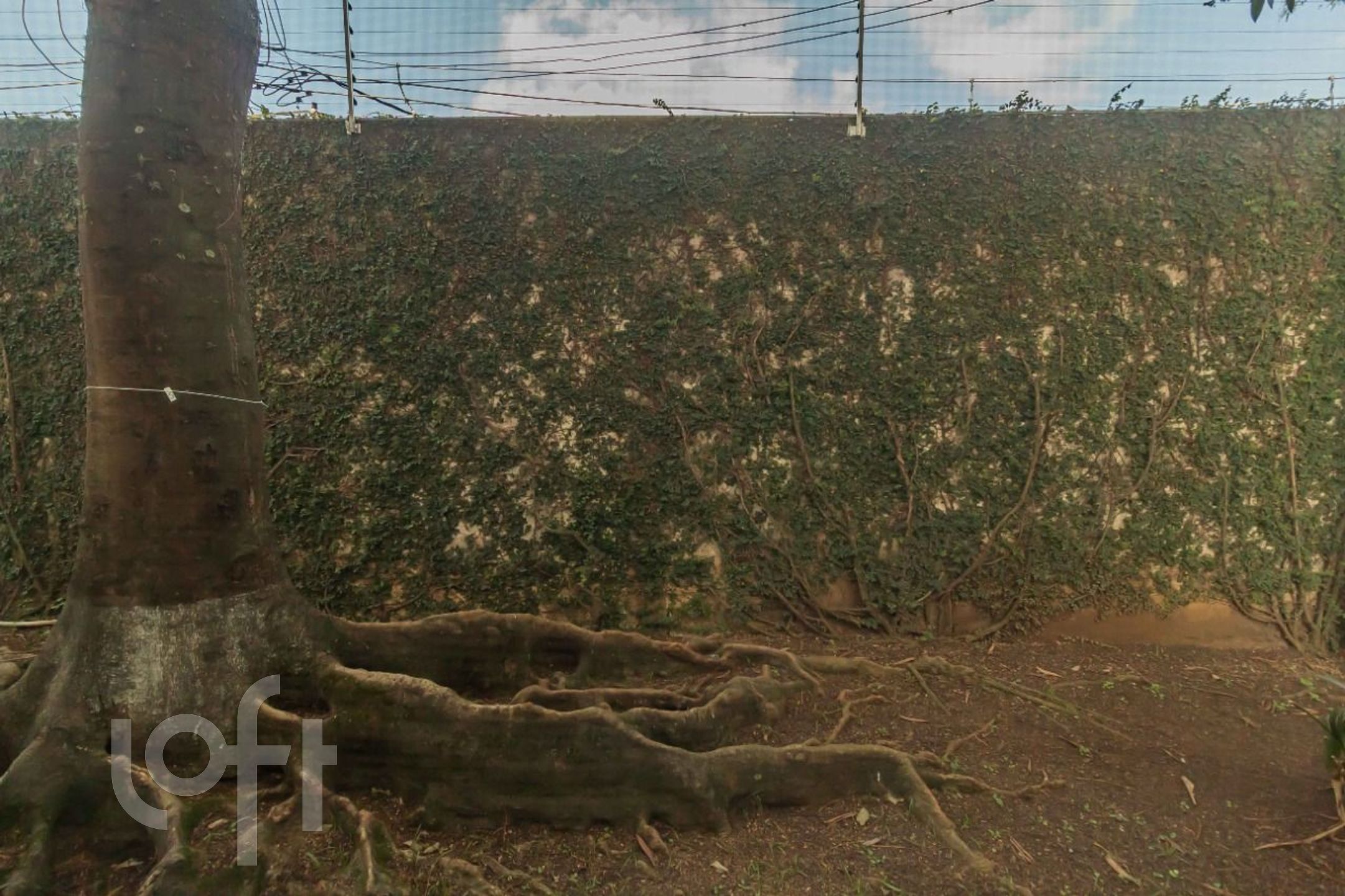 Imagem da propriedade 9