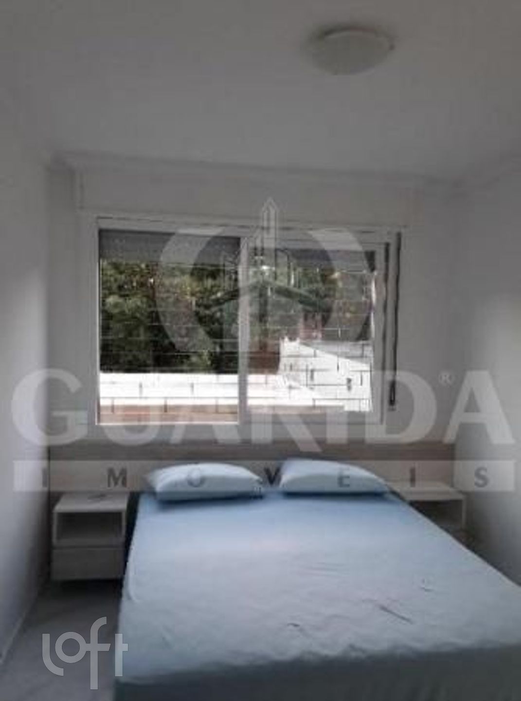 Imagem da propriedade 12