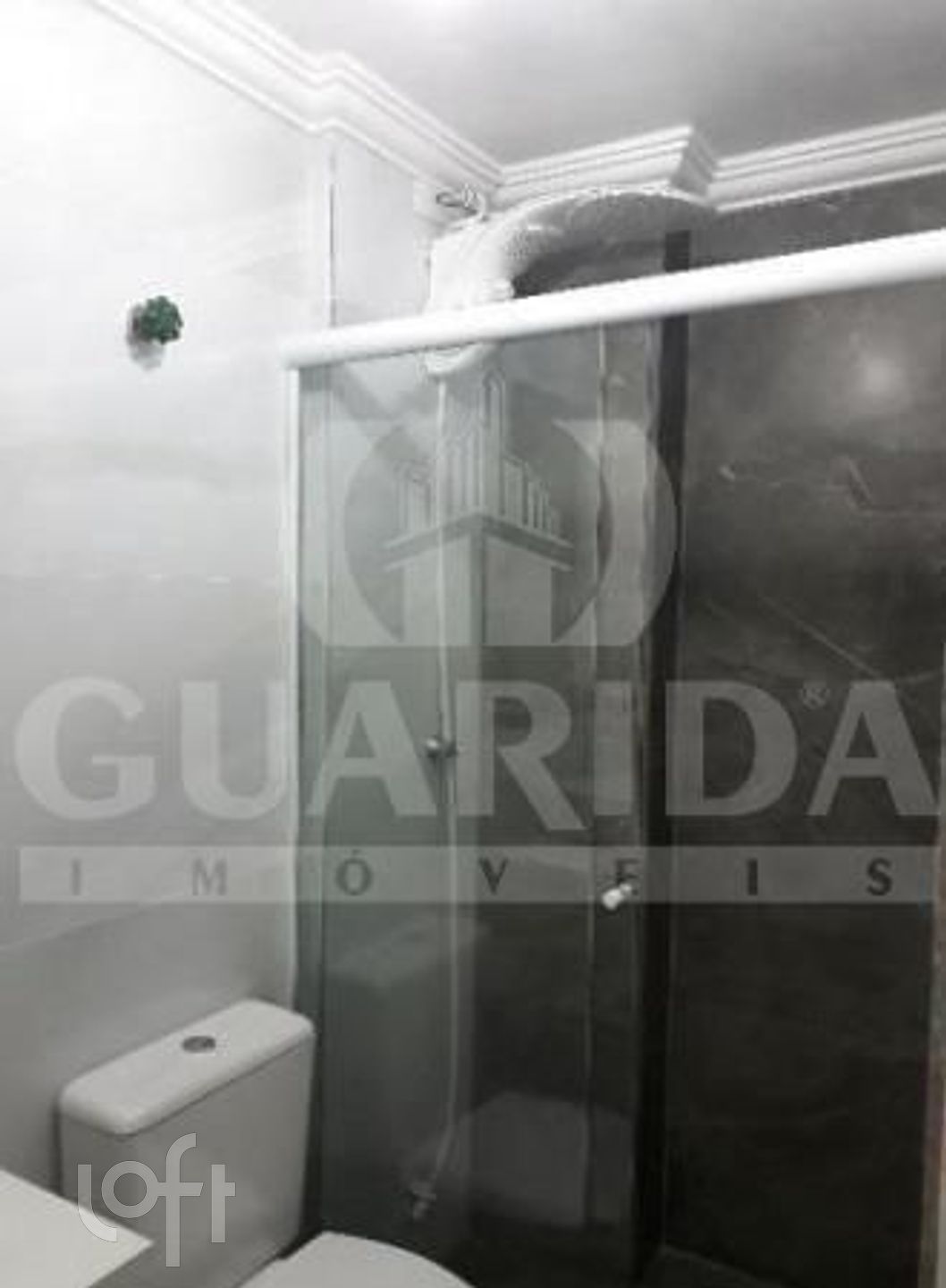 Imagem da propriedade 17