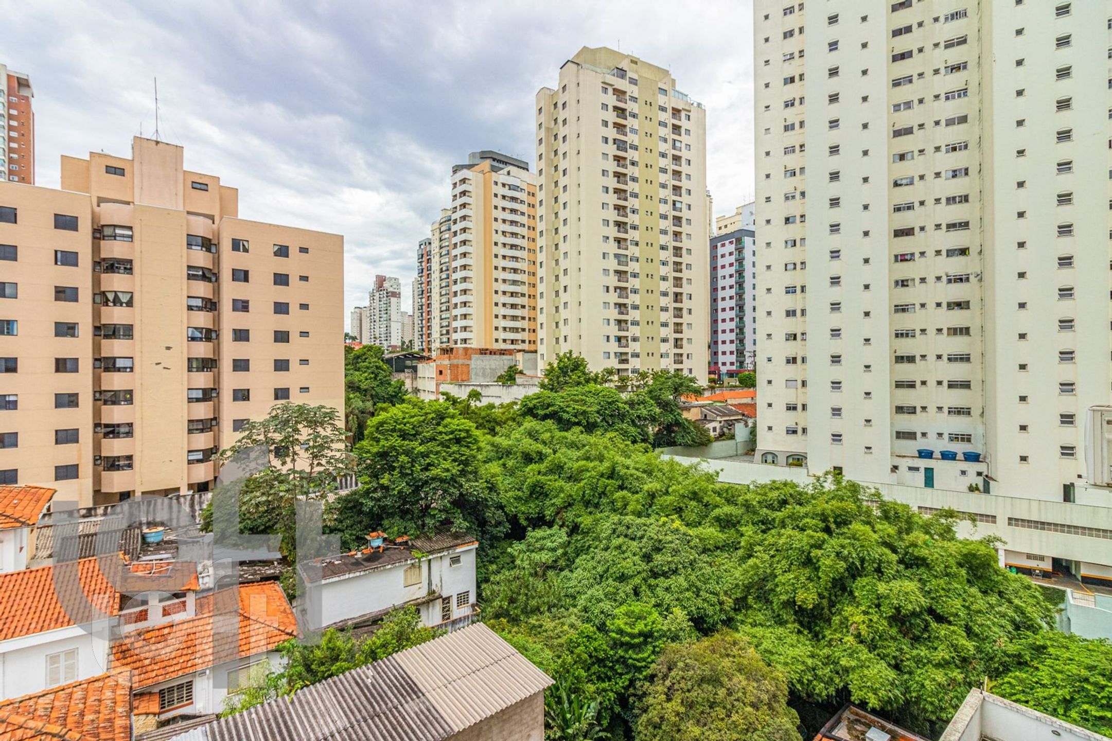 Imagem da propriedade 11