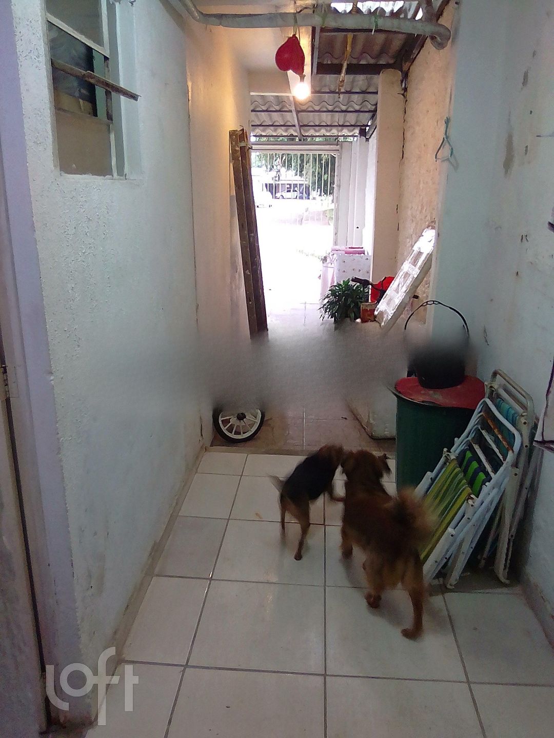 Imagem da propriedade 43