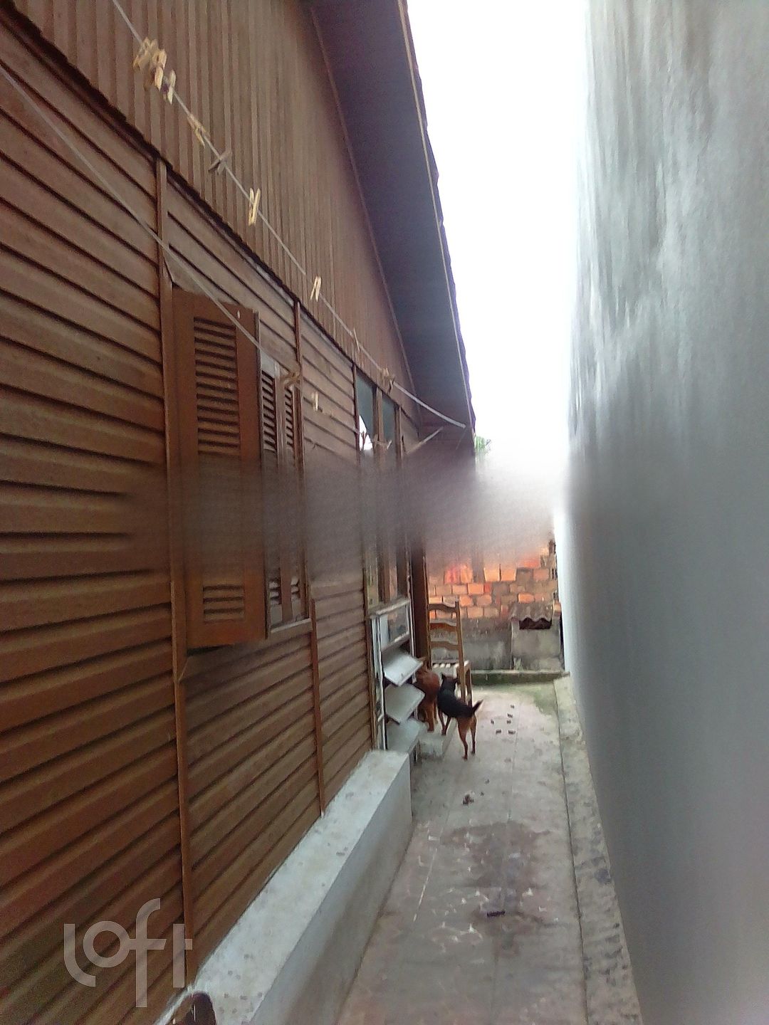 Imagem da propriedade 41