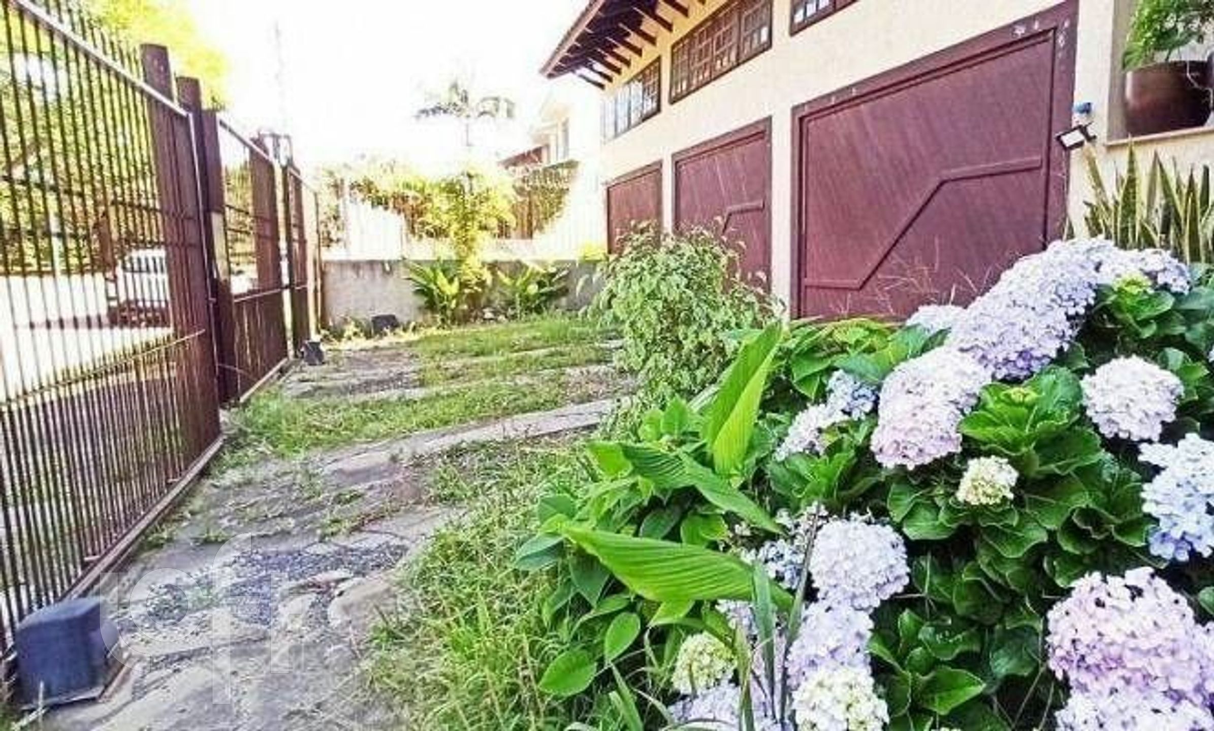 Imagem da propriedade 4