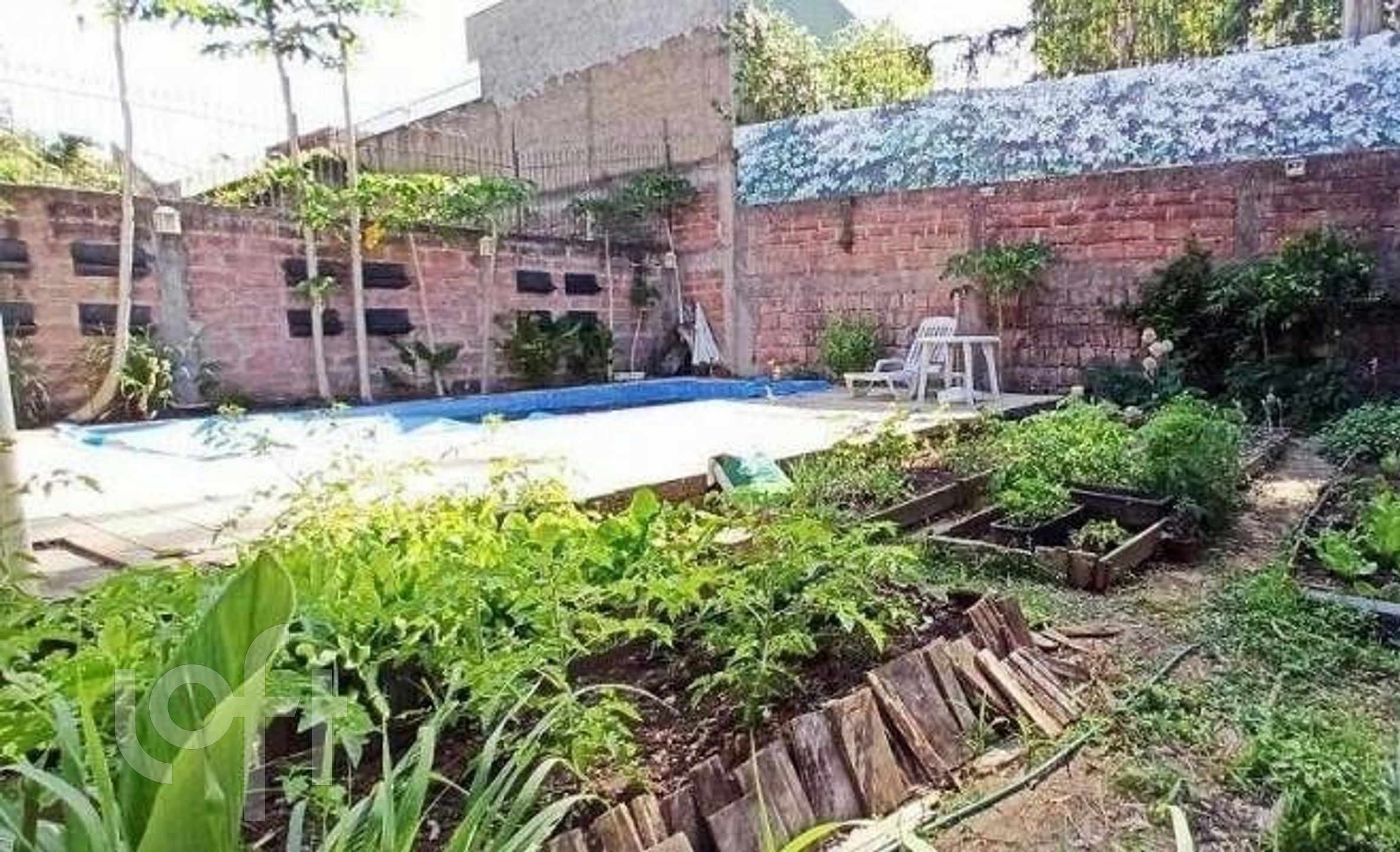 Imagem da propriedade 16