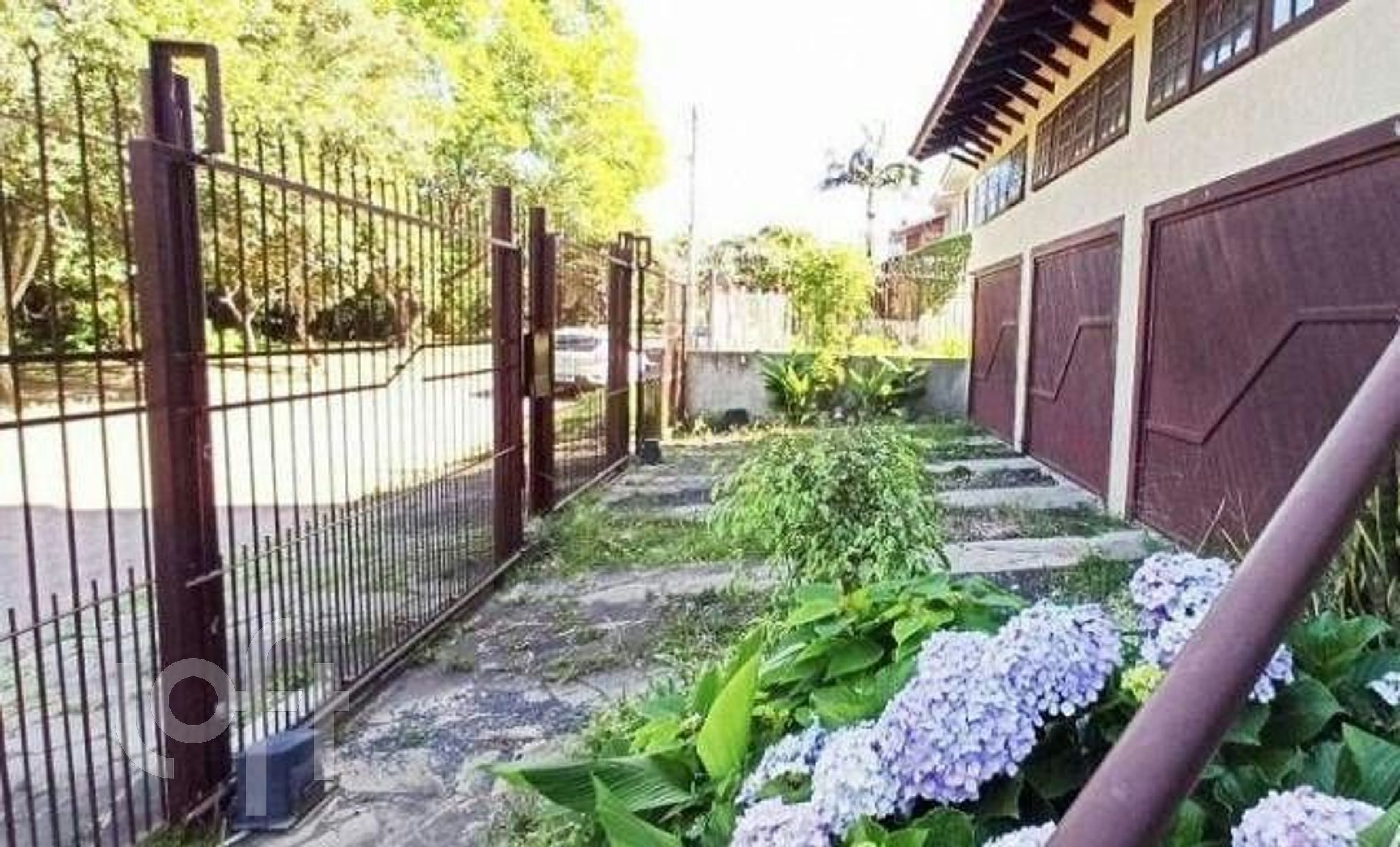 Imagem da propriedade 3