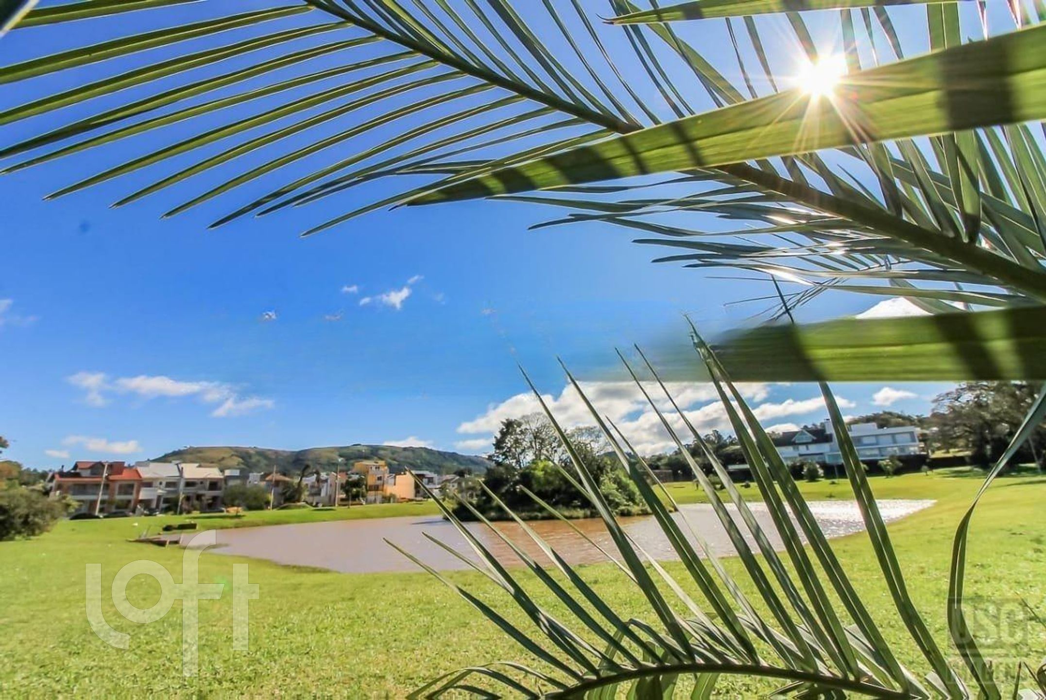 Imagem da propriedade 19