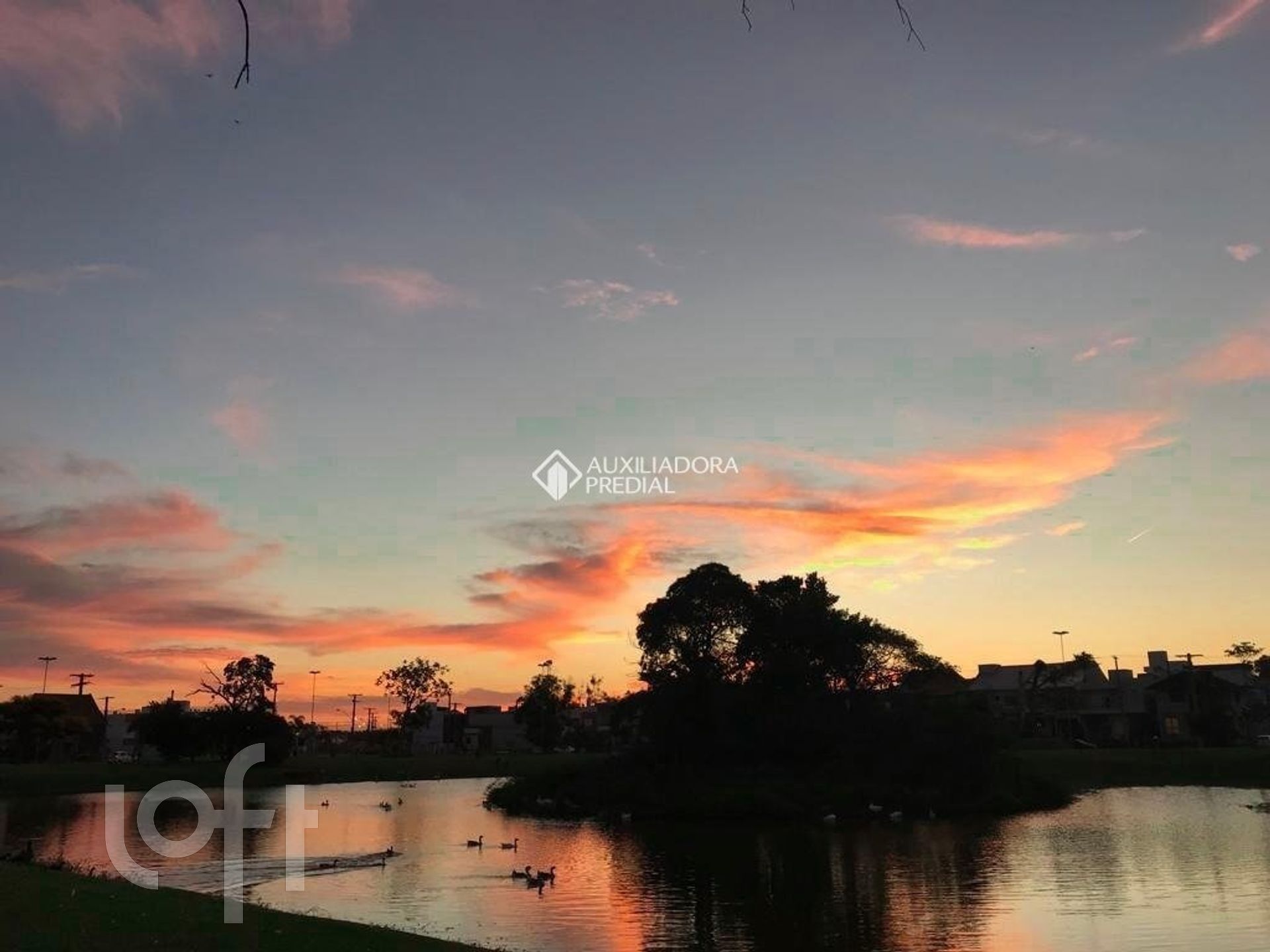 Imagem da propriedade 22