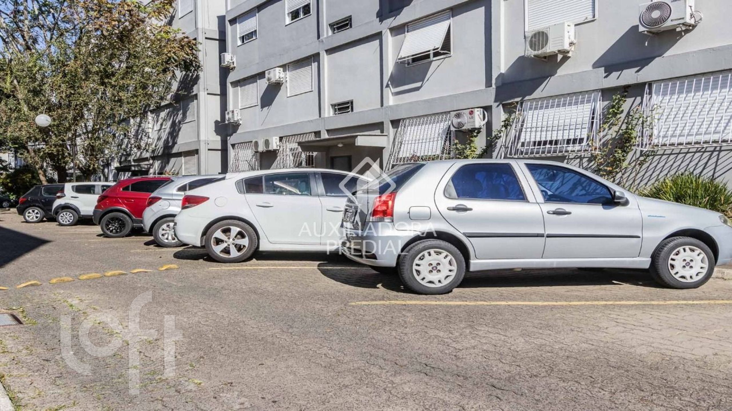 Imagem da propriedade 18