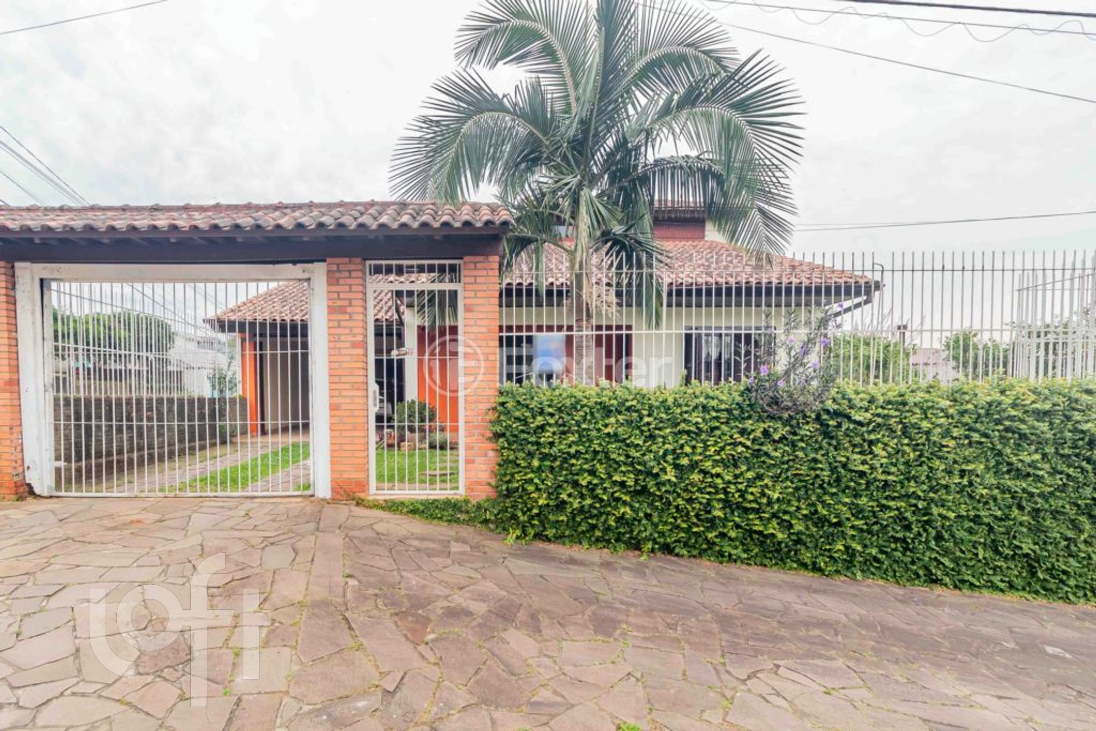 Imagem da propriedade 52