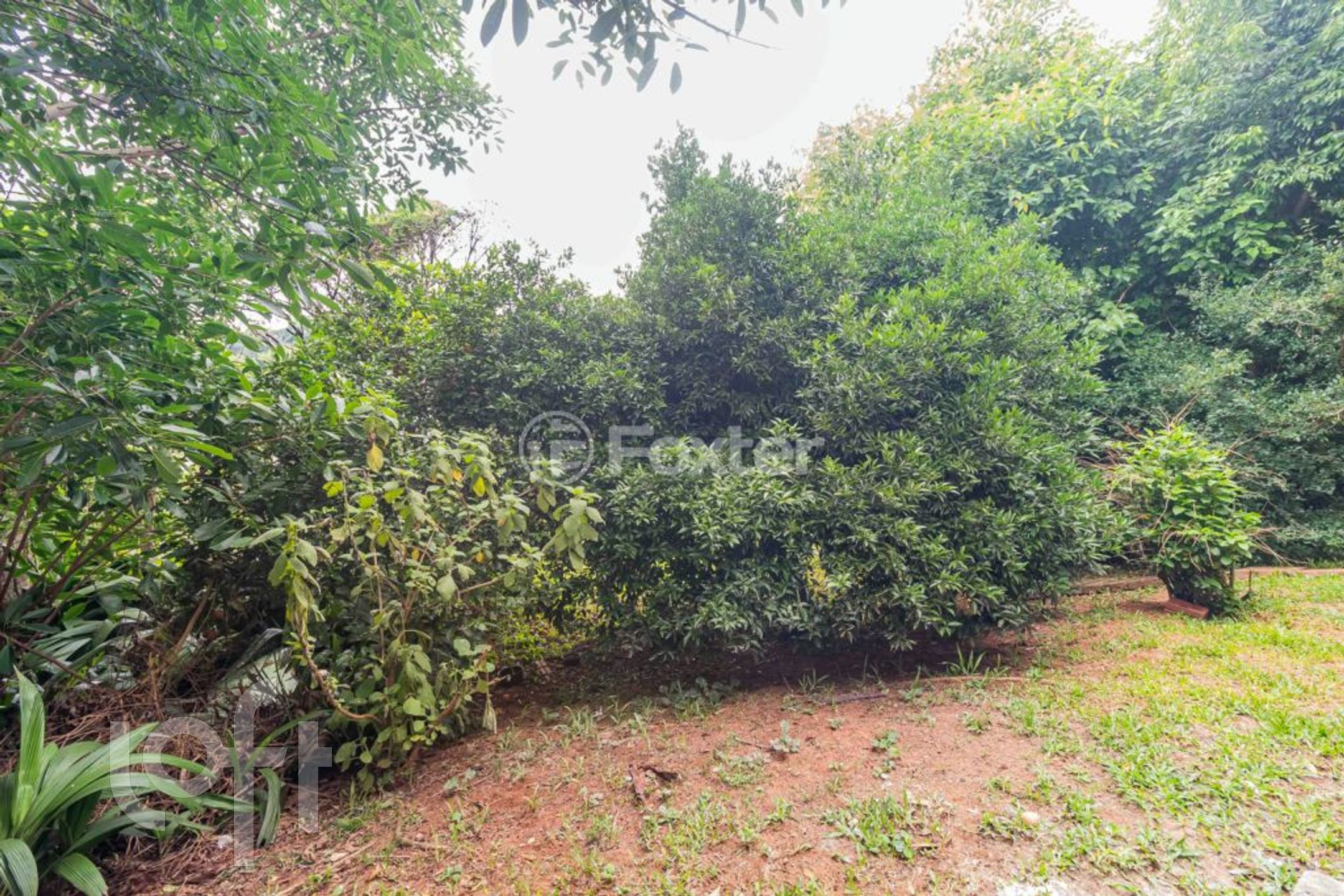 Imagem da propriedade 44