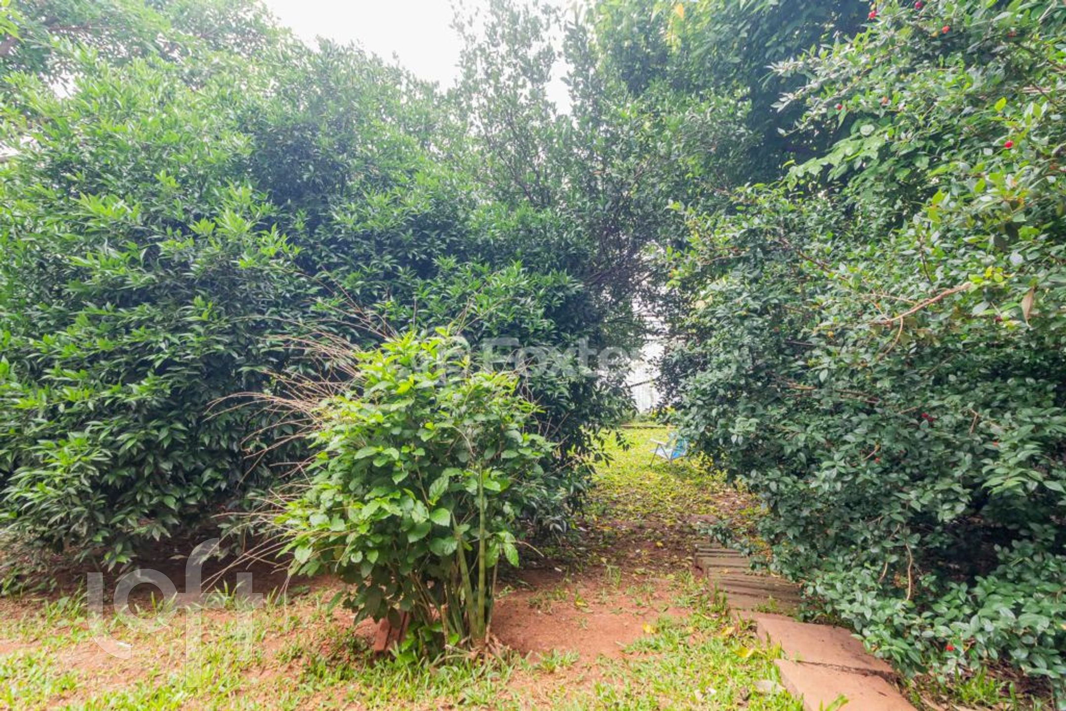 Imagem da propriedade 45