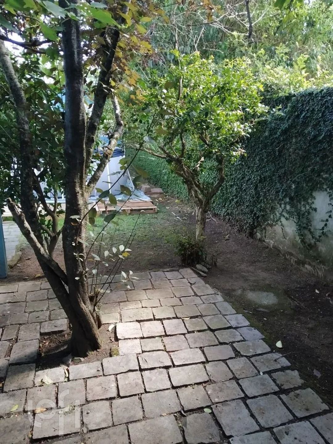 Imagem da propriedade 16