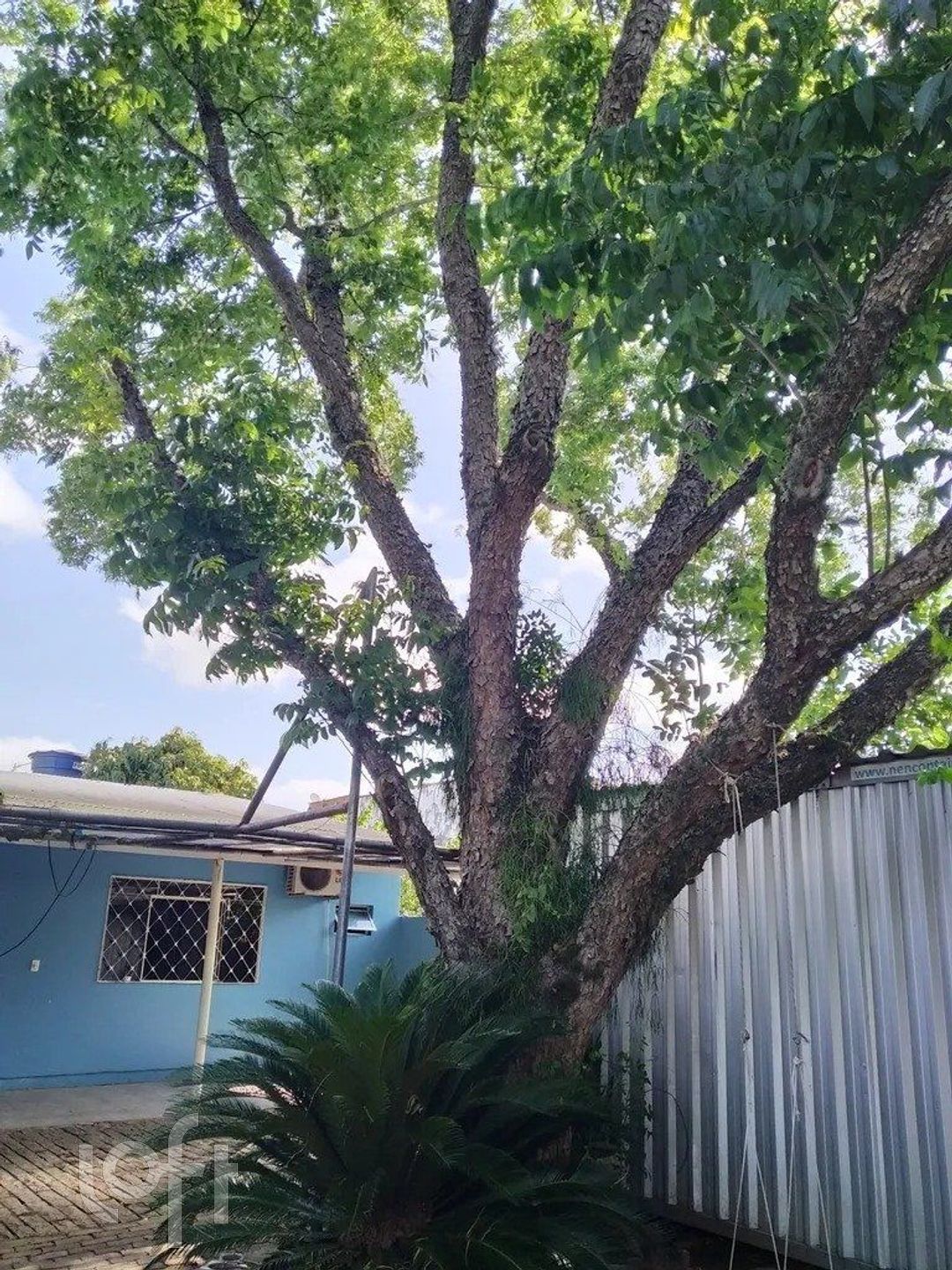 Imagem da propriedade 17