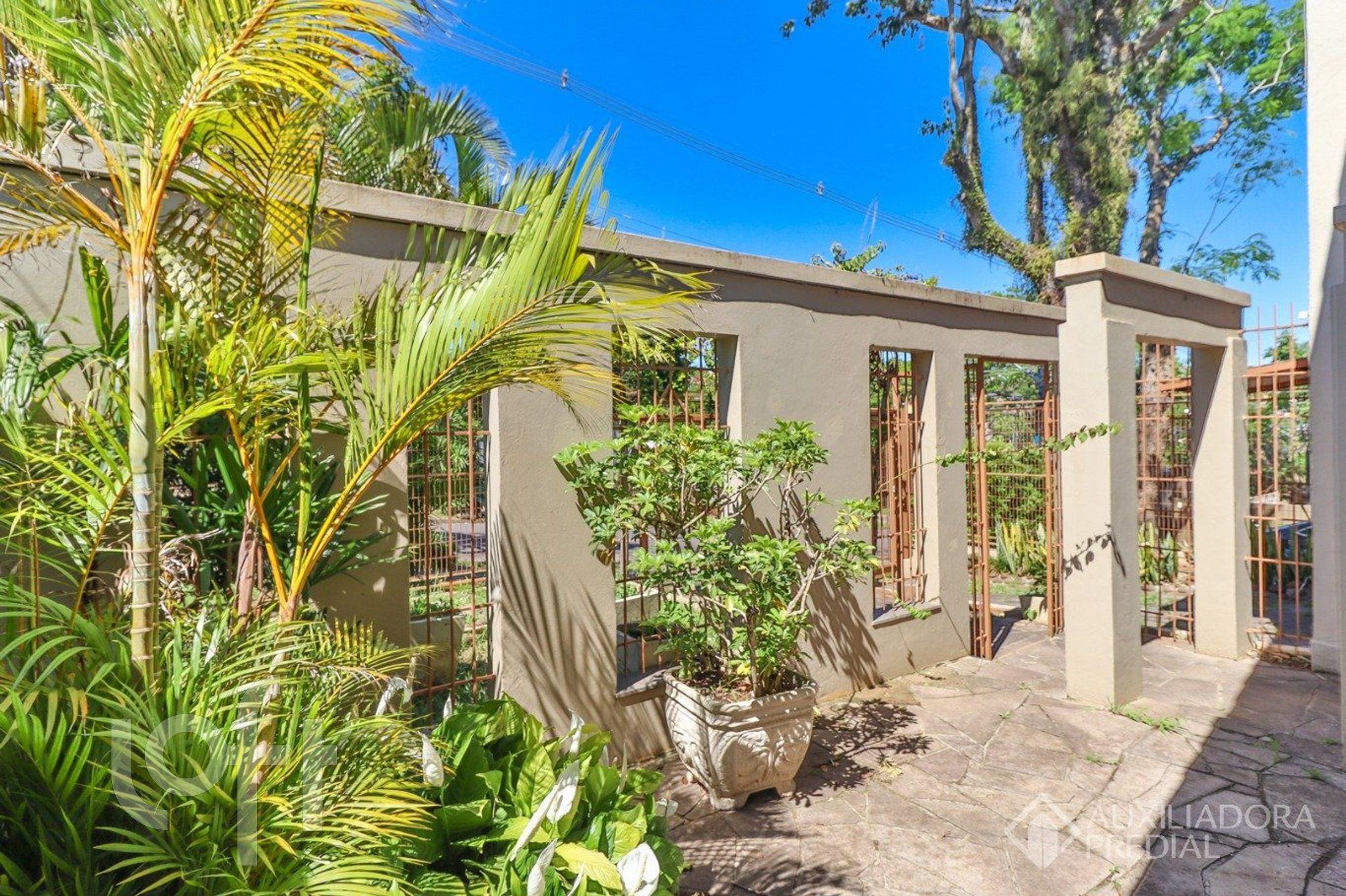 Imagem da propriedade 49