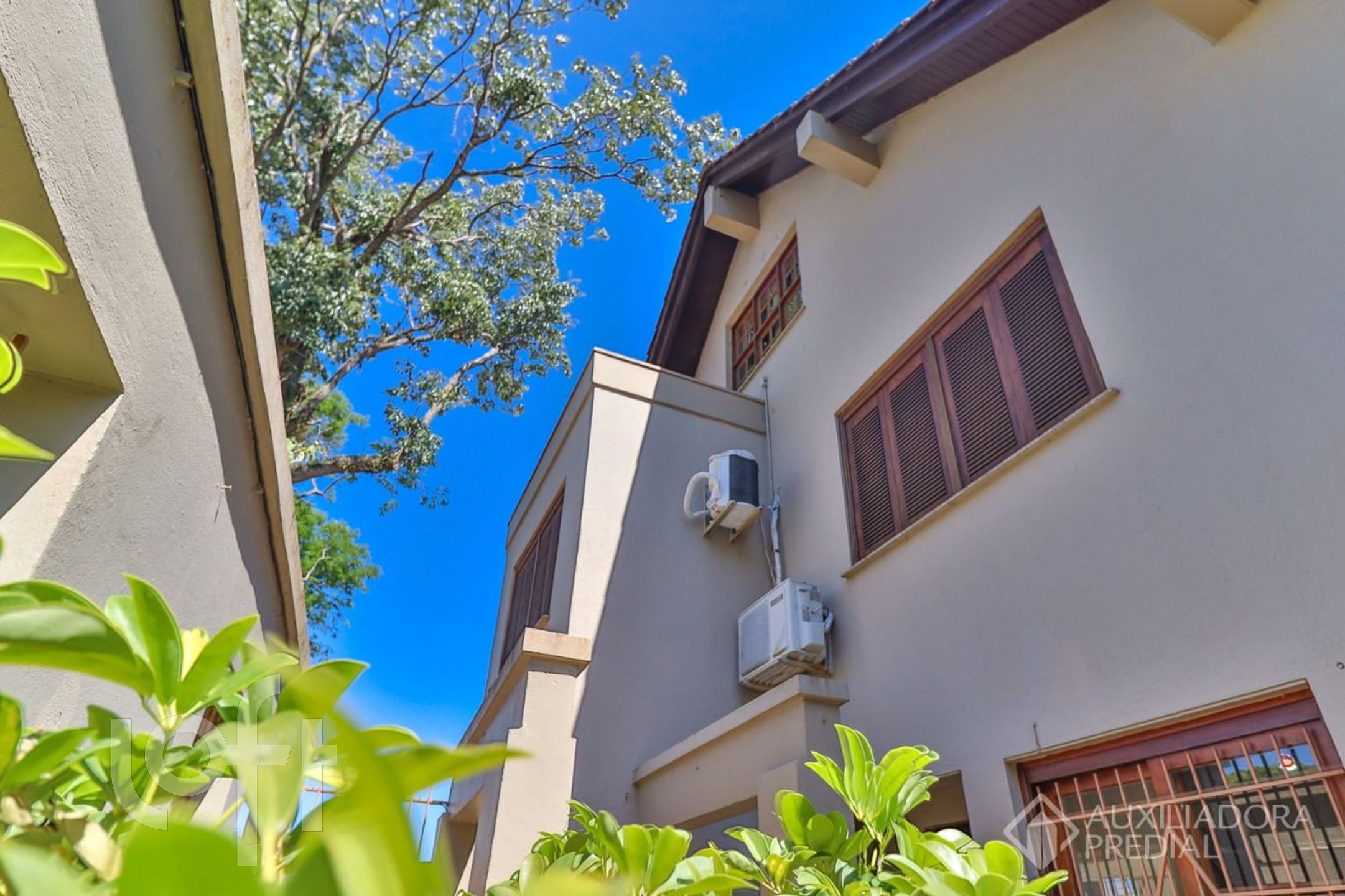 Imagem da propriedade 50