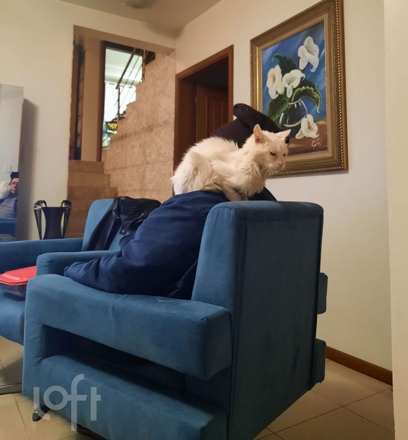 Imagem da propriedade 8