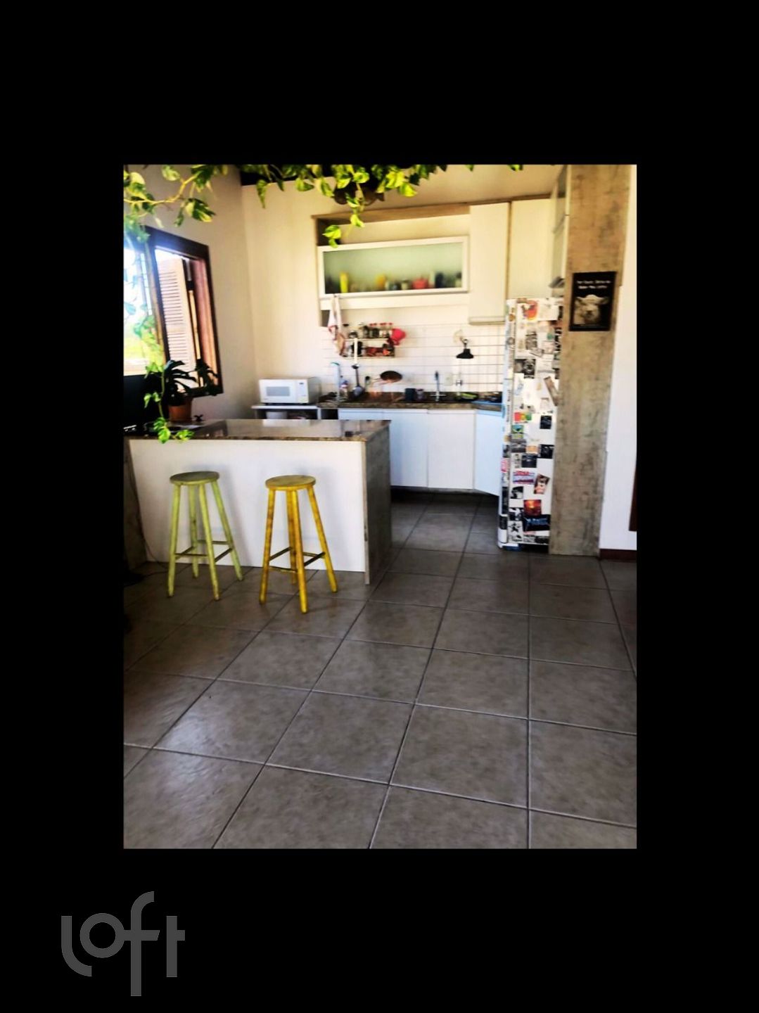 Imagem da propriedade 7