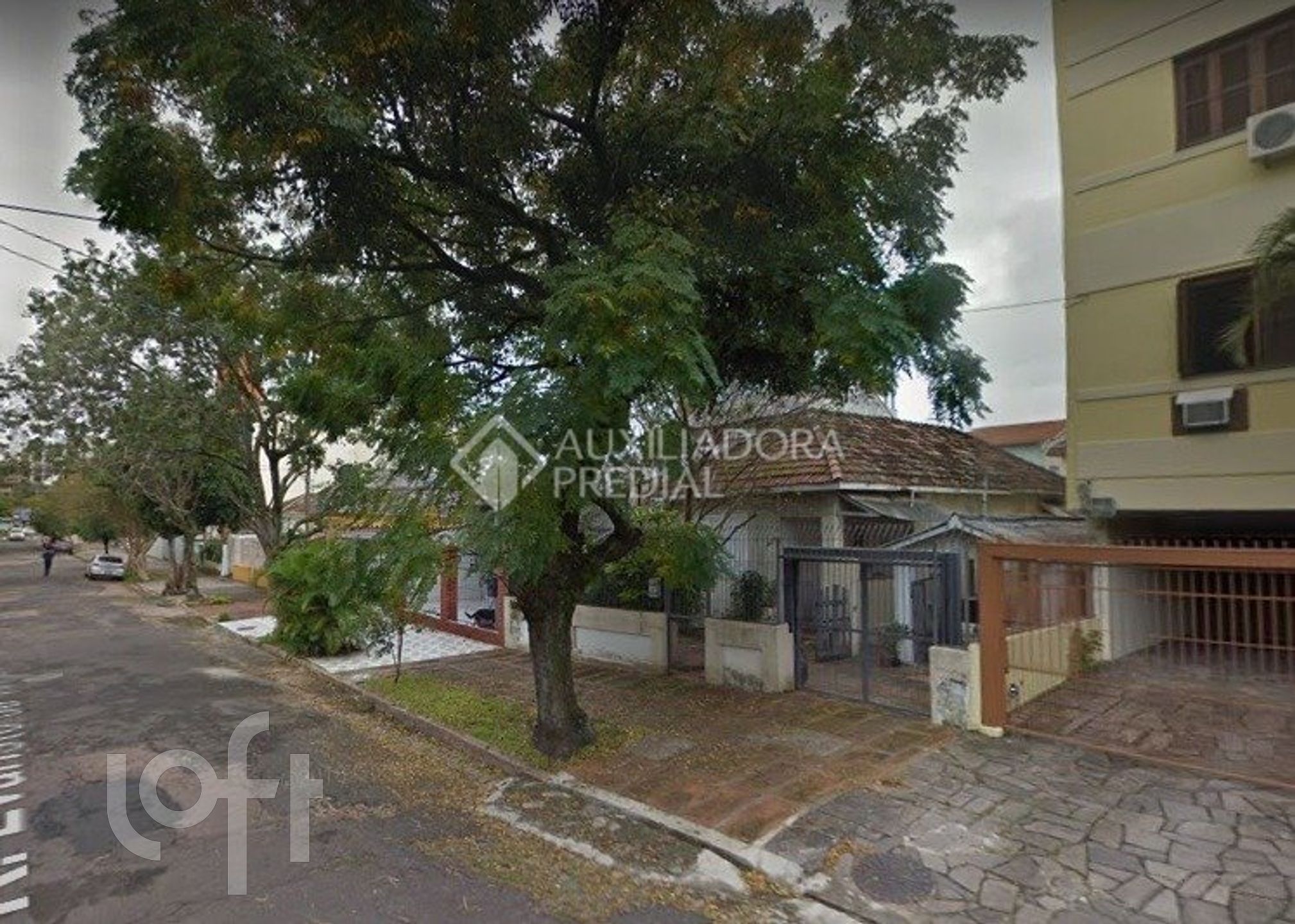 Imagem da propriedade 3