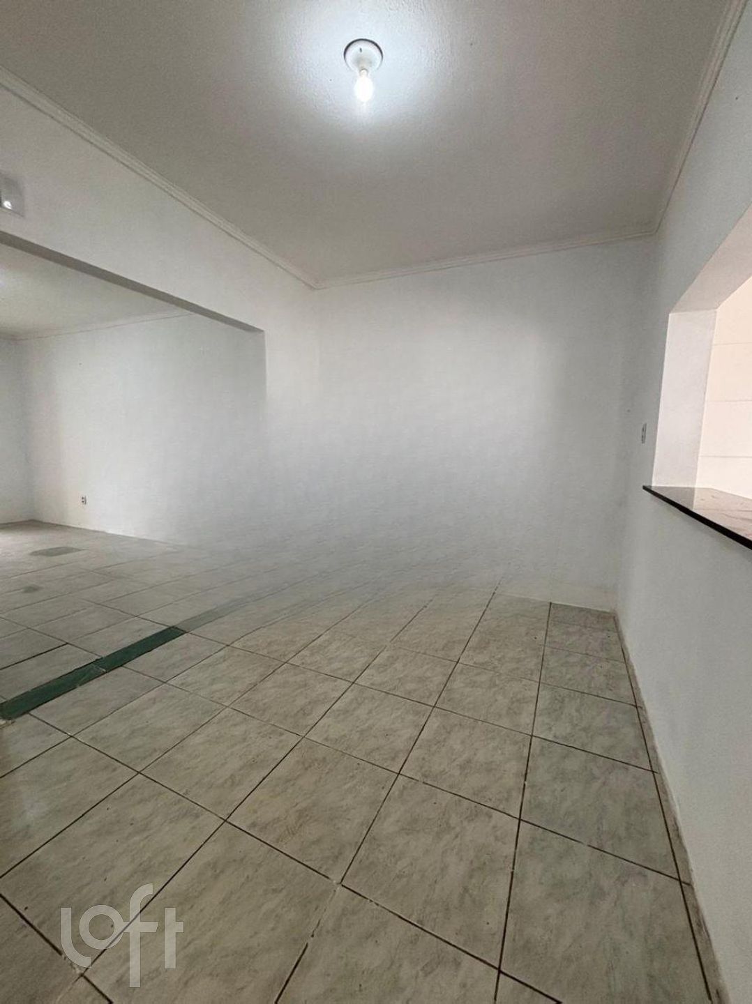 Imagem da propriedade 14