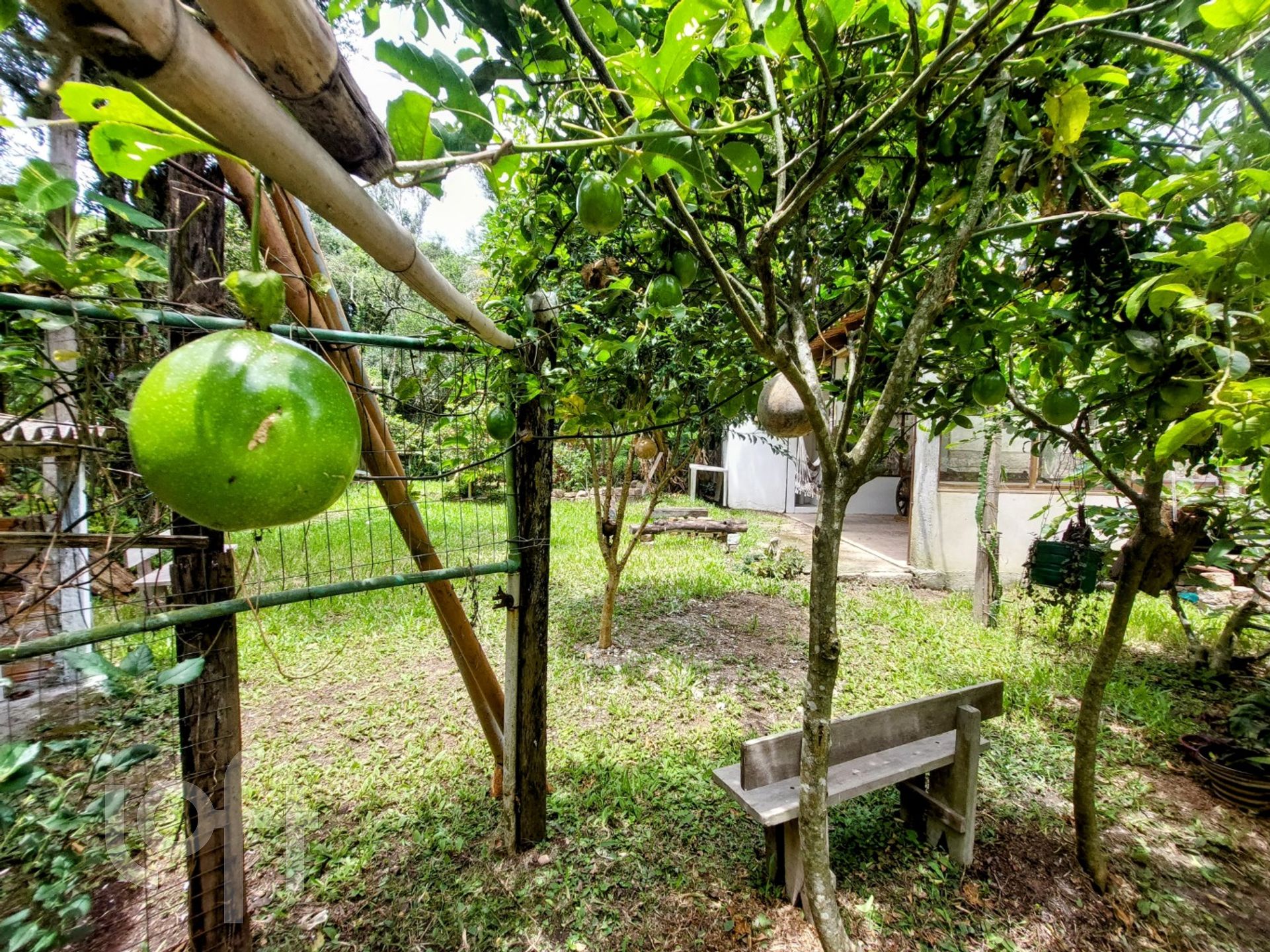 Imagem da propriedade 61