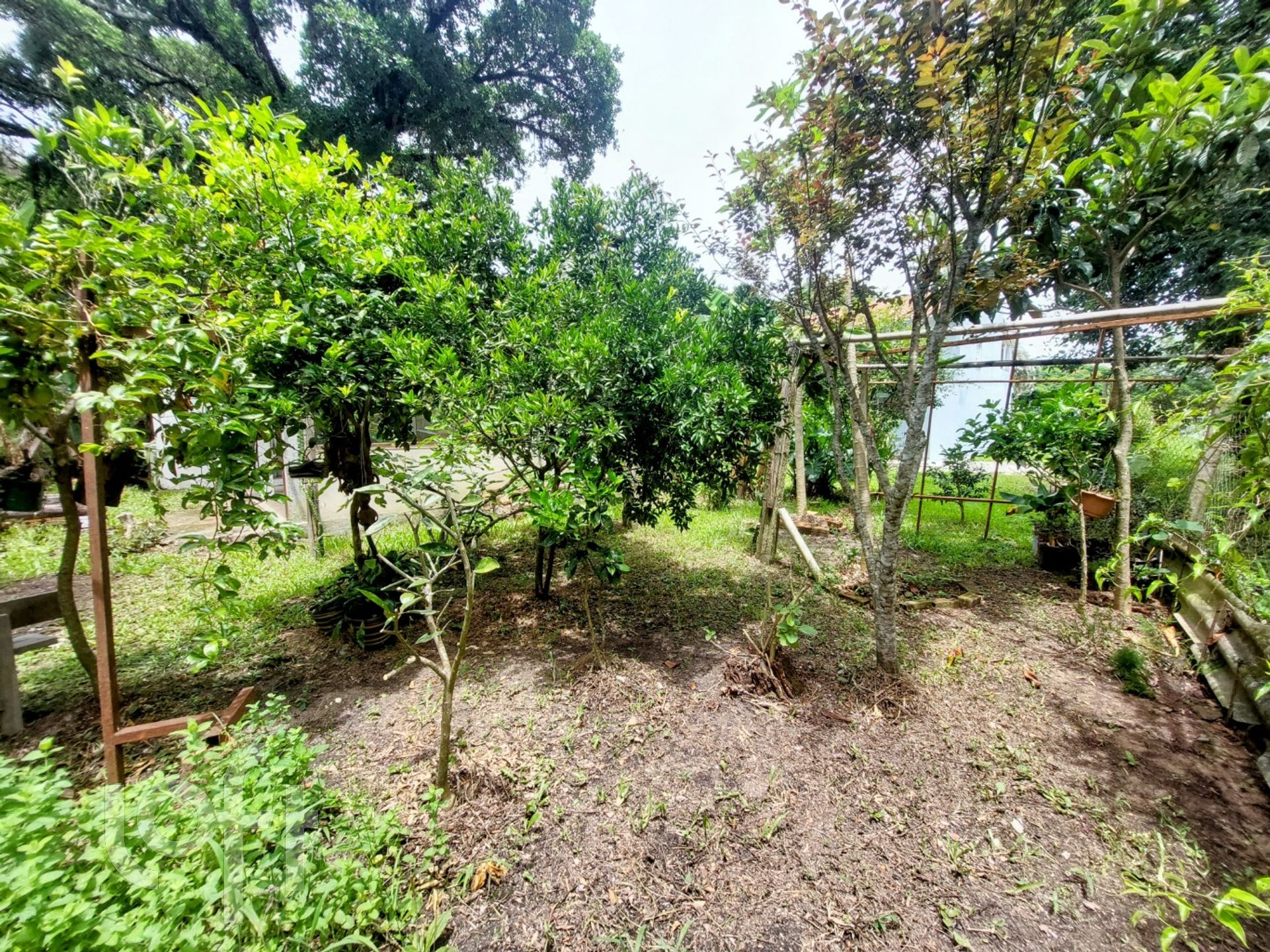 Imagem da propriedade 60