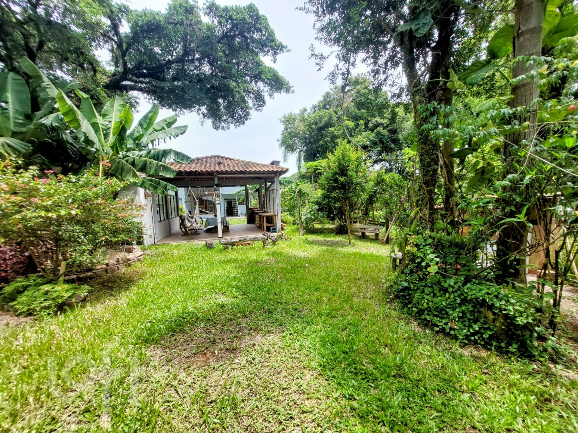 Imagem da propriedade 58