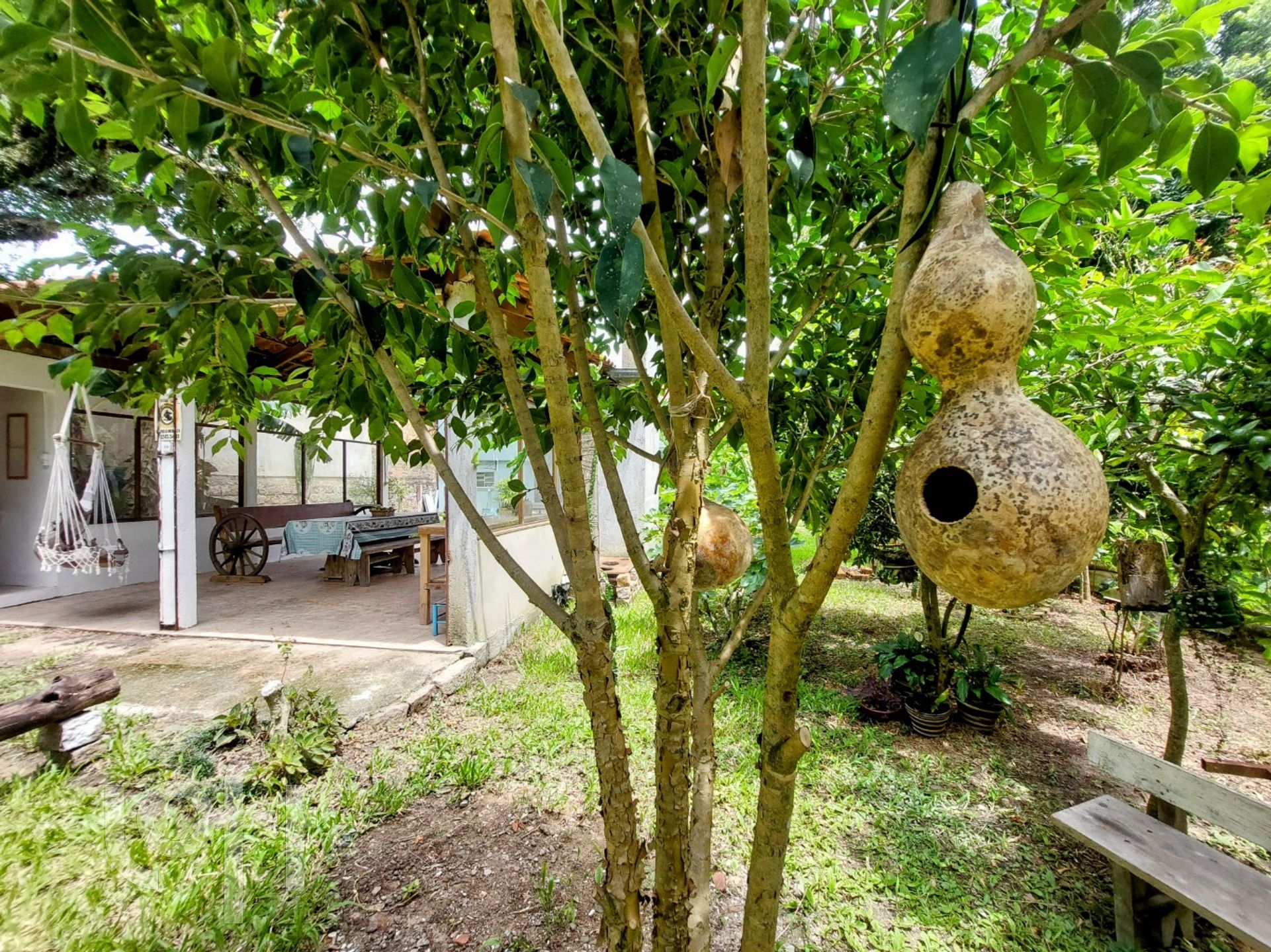 Imagem da propriedade 55