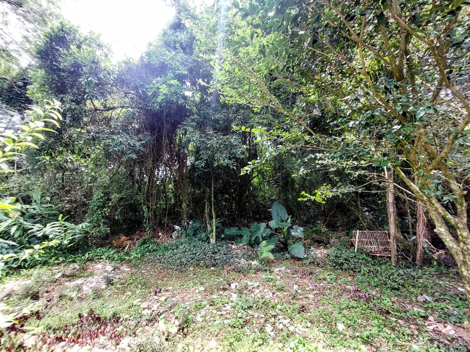 Imagem da propriedade 59